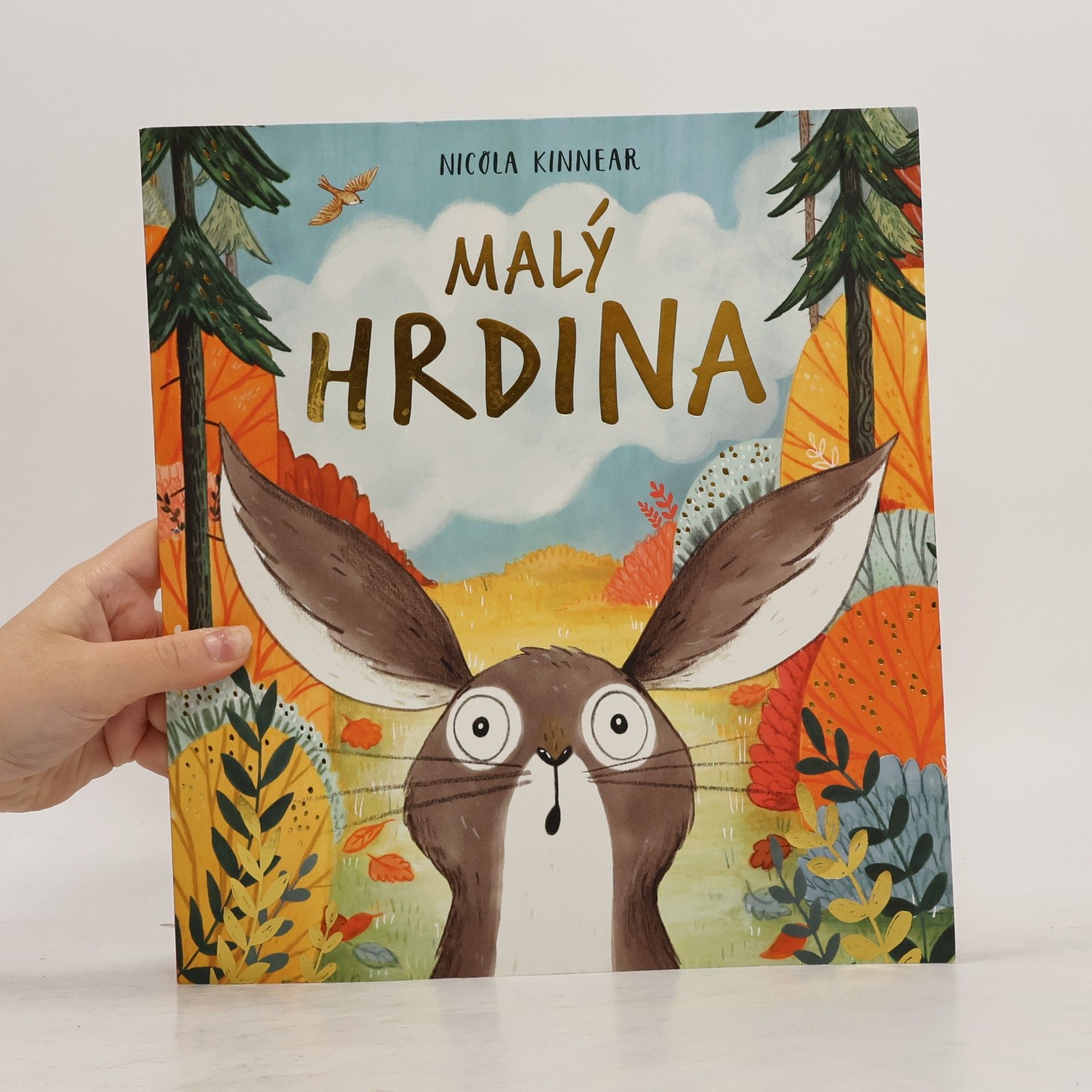 Nicola Kinnear Malý hrdina