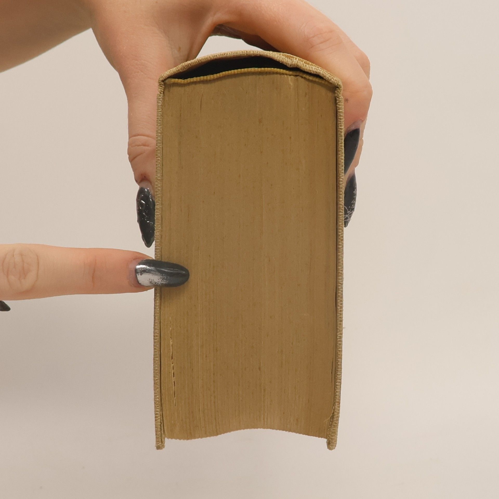 Werner Hegemann Fridericus
