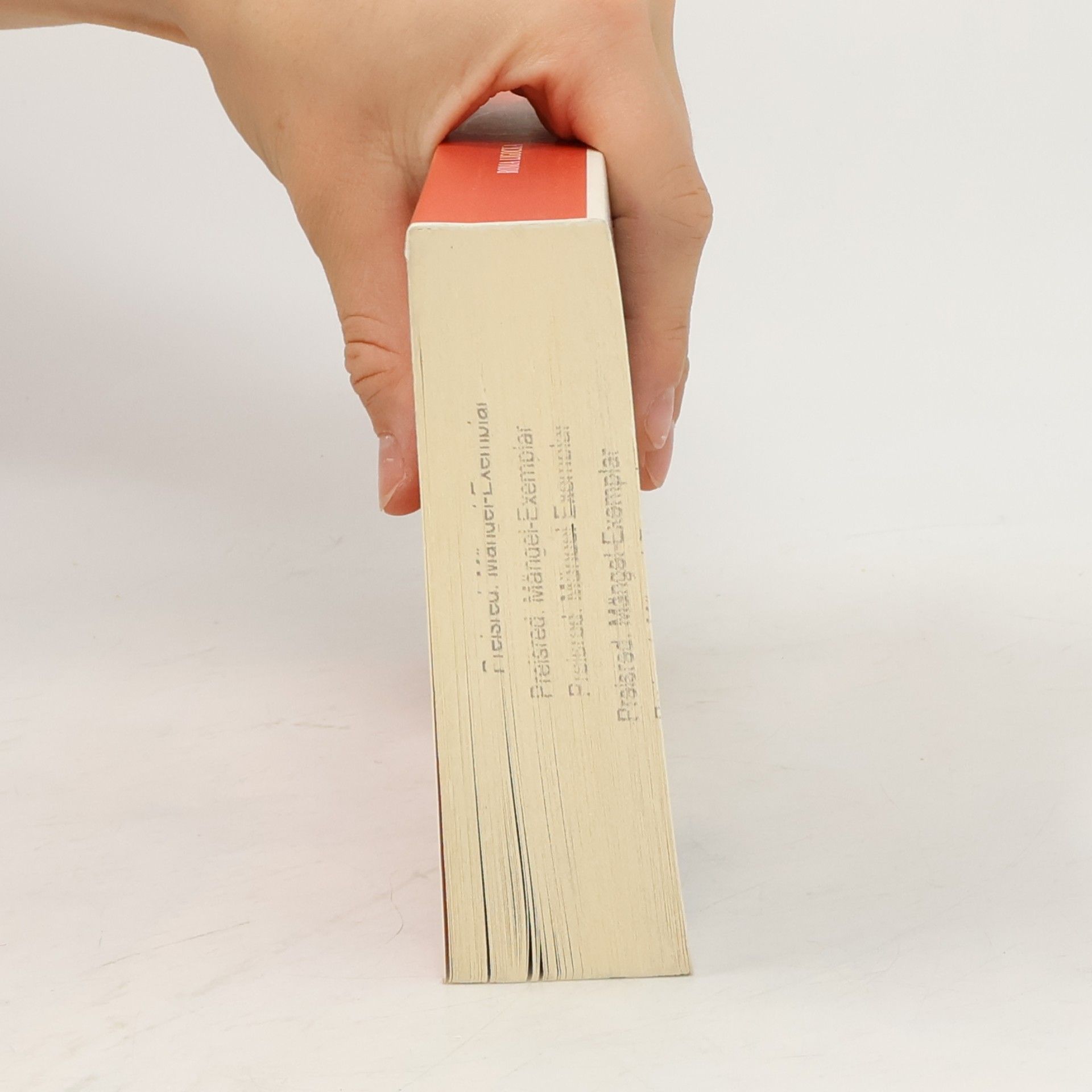 Roma Ligocka Die Handschrift meines Vaters