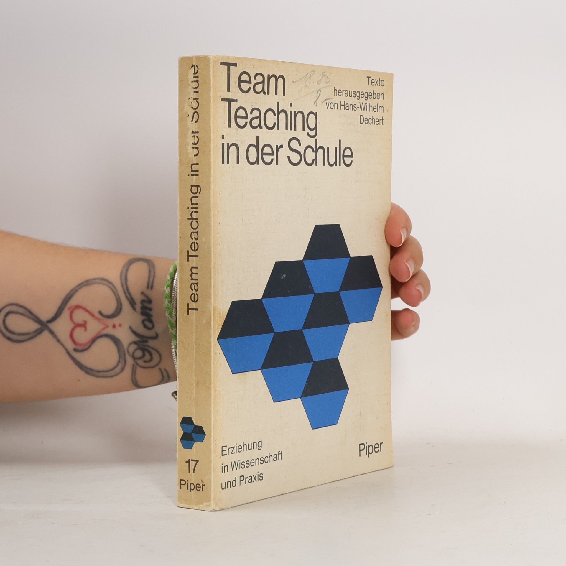 Erziehung in Wissenschaft und Praxis - 17: Team Teaching in der Schule