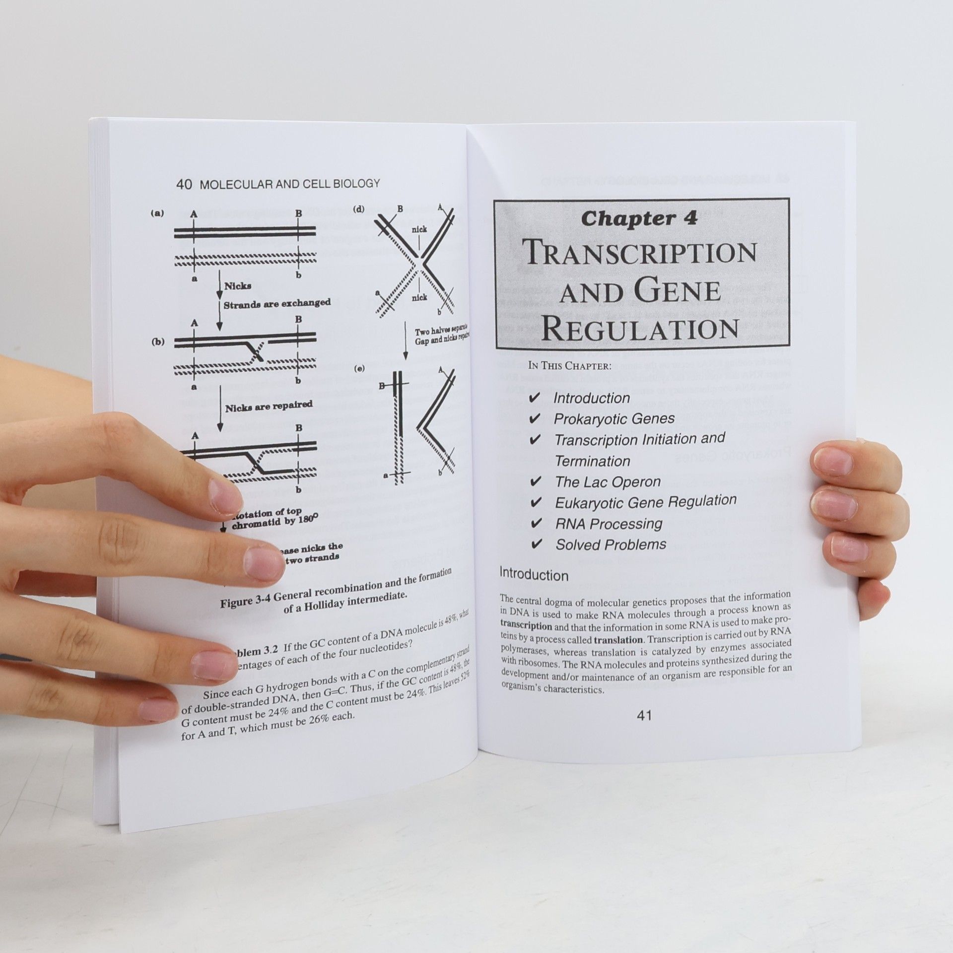 William Stansfield Schaum's Easy Outline Molecular and Cell Biology