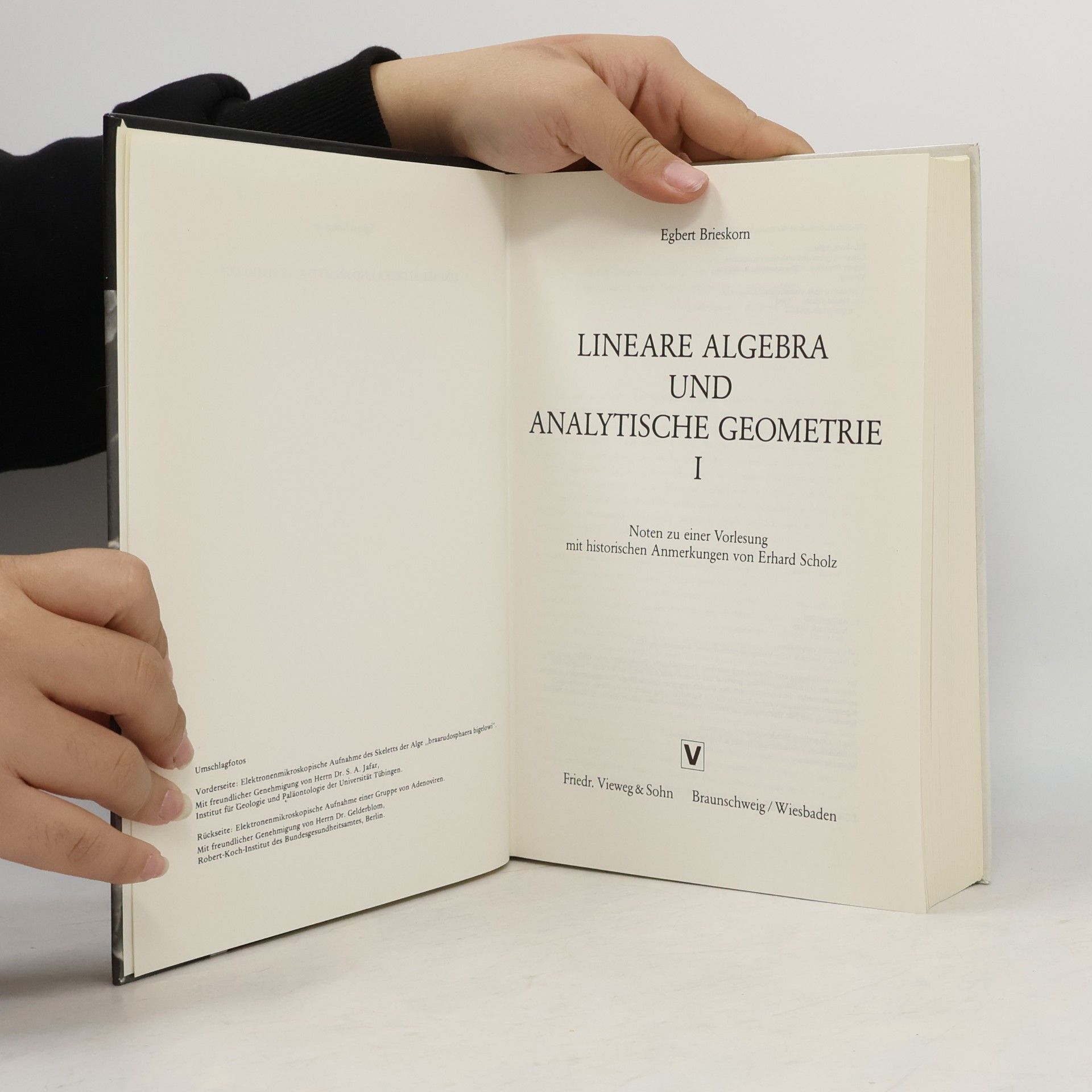 Egbert Brieskorn Lineare Algebra und Analytische Geometrie I