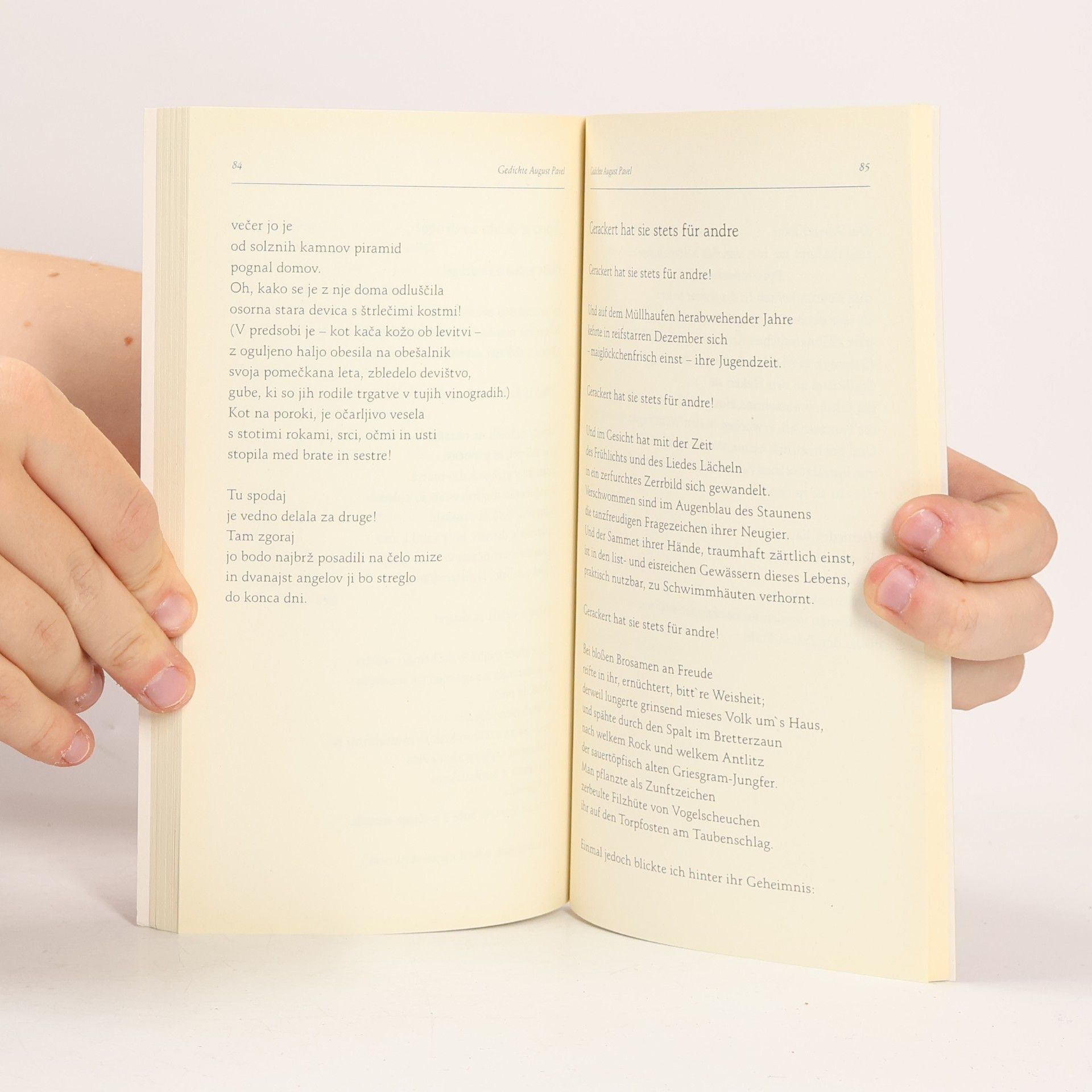 Ágoston Pável Literarische Schriftenreihe des Pavelhauses - 1: Mein grimmiges Jahrhundert