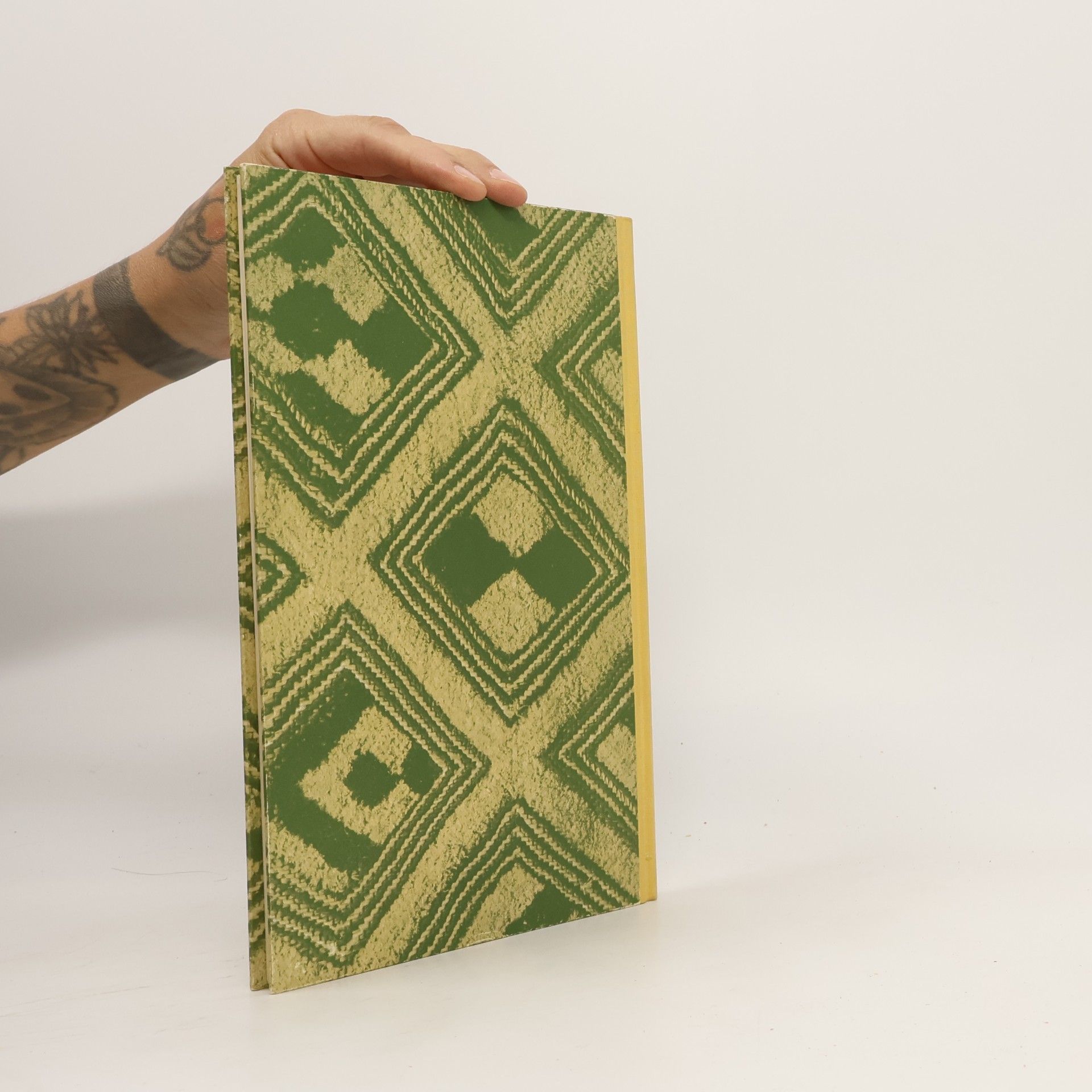 Ruth Zechlin Das Flechtbuch