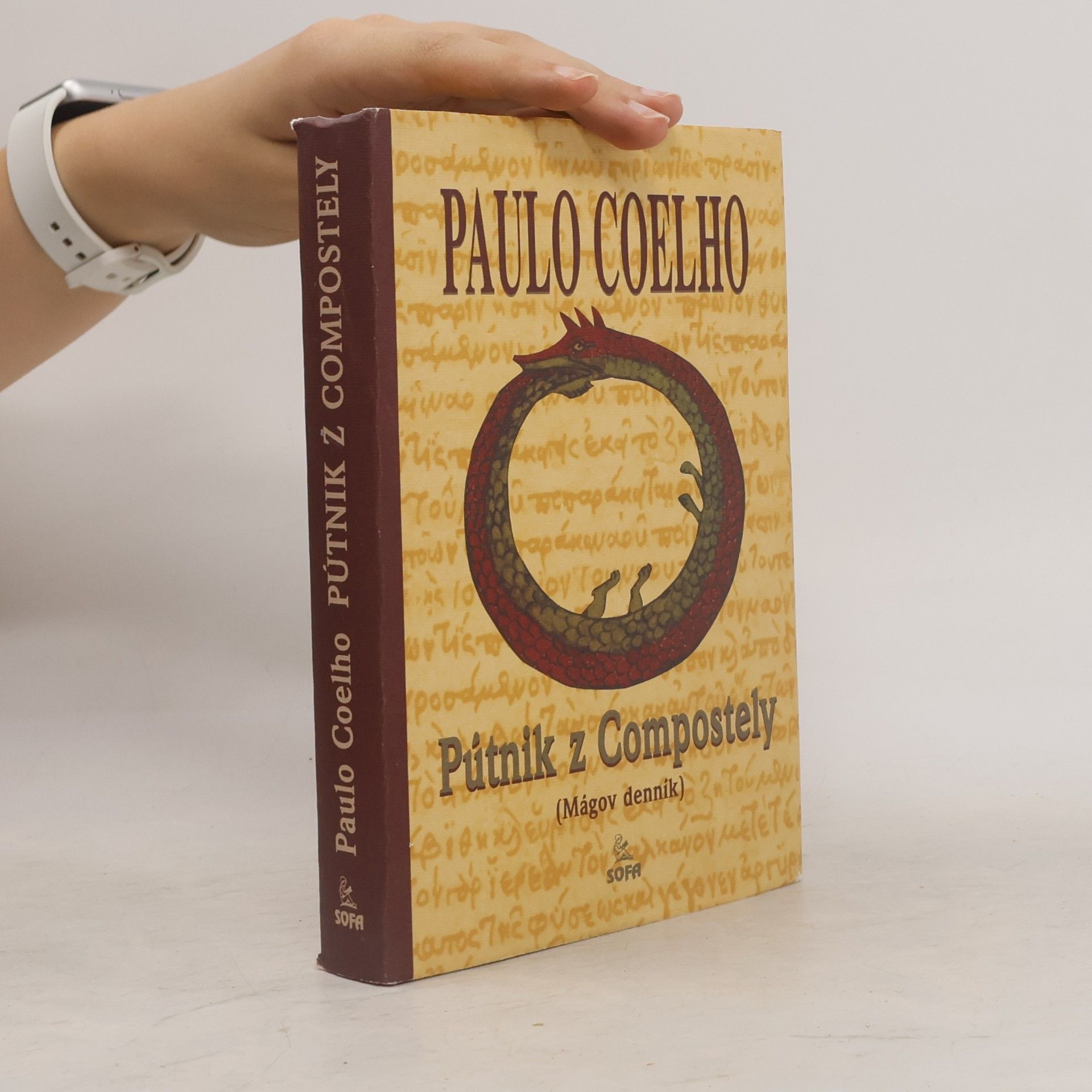 Paulo Coelho Pútnik z Compostely: (Mágov denník)