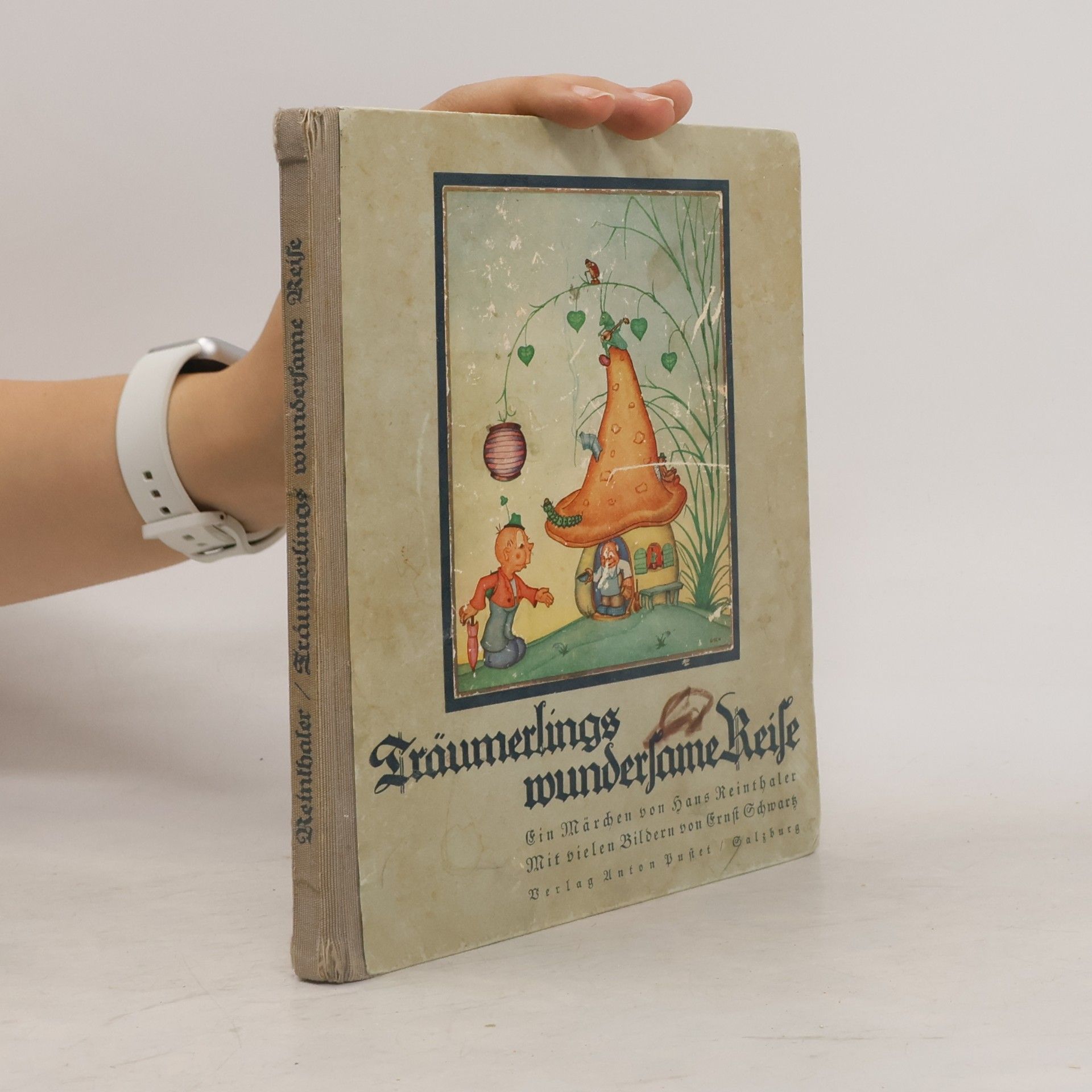 Hans Reinthaler Träumerlings wundersame Reise
