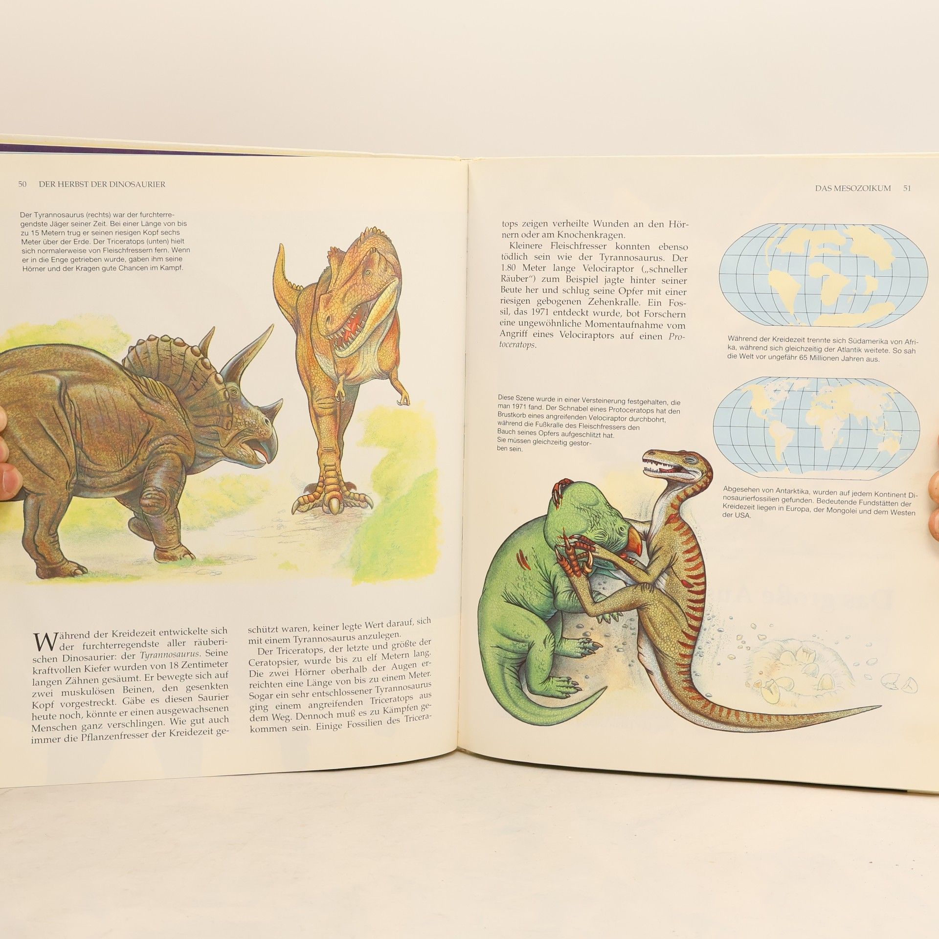 Autorenkollektiv Die Welt entdecken. Kinderatlas des Lebens