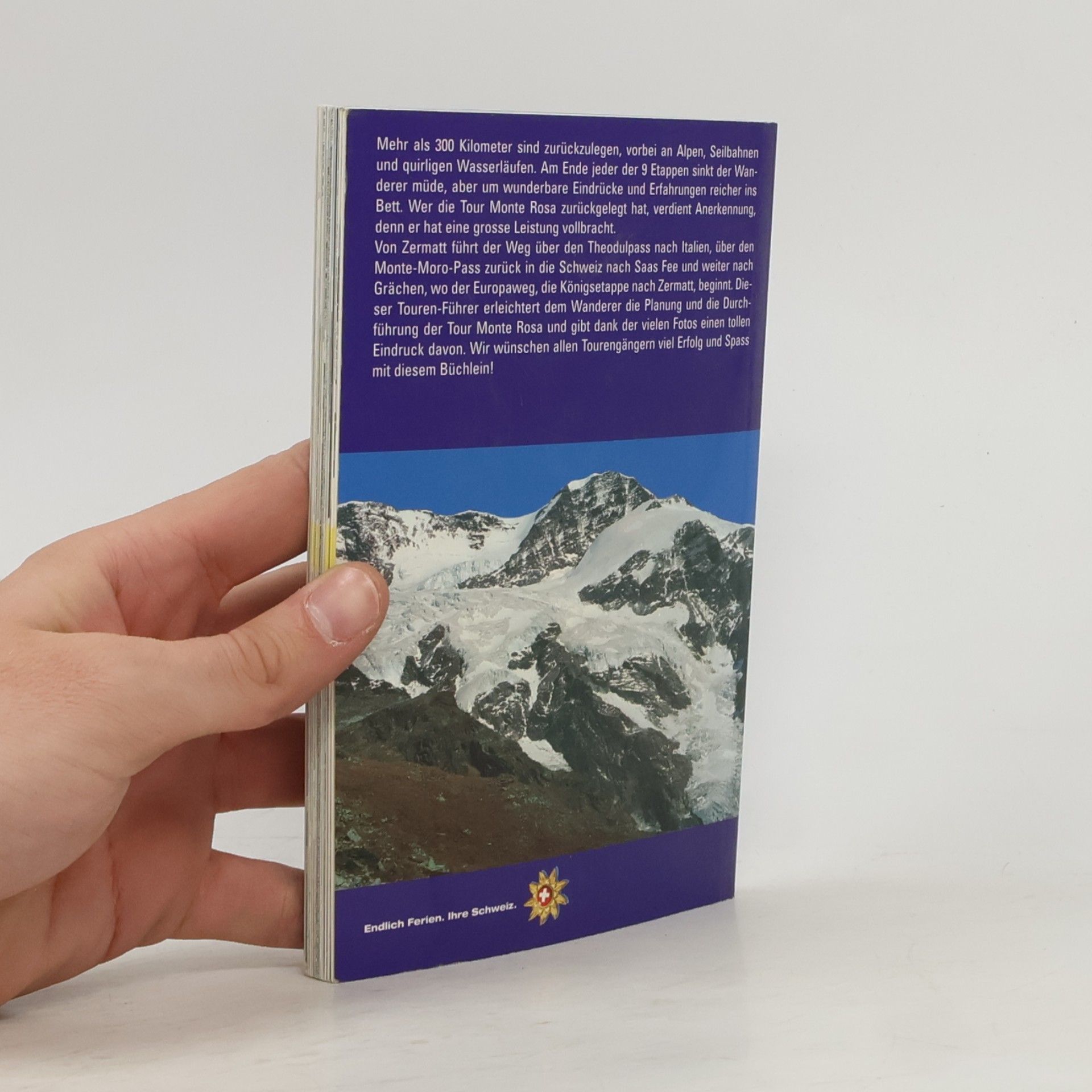 Remo Nanzer Tour Monte Rosa, Matterhorn