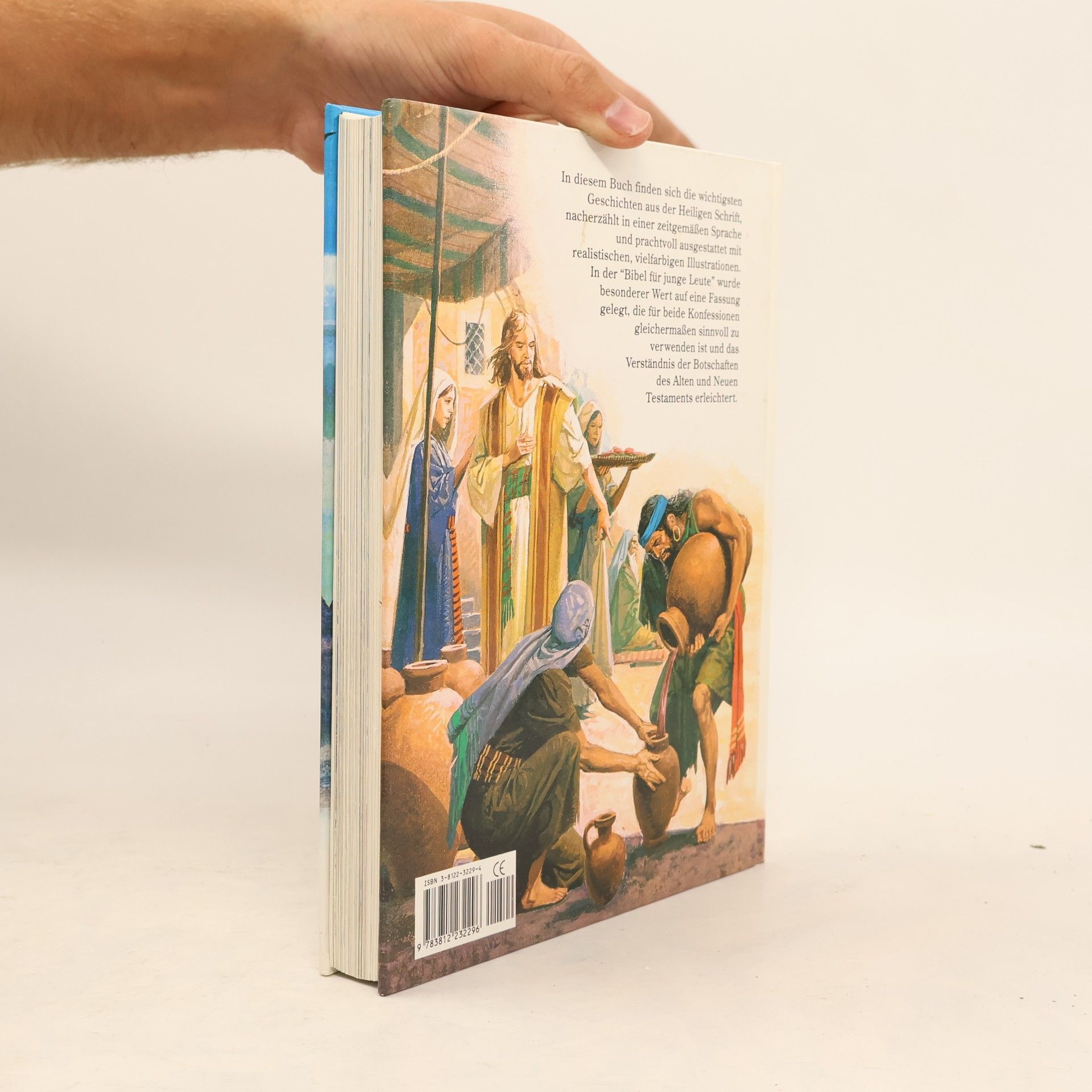 Winfred Schmidt Die Bibel für junge Leute