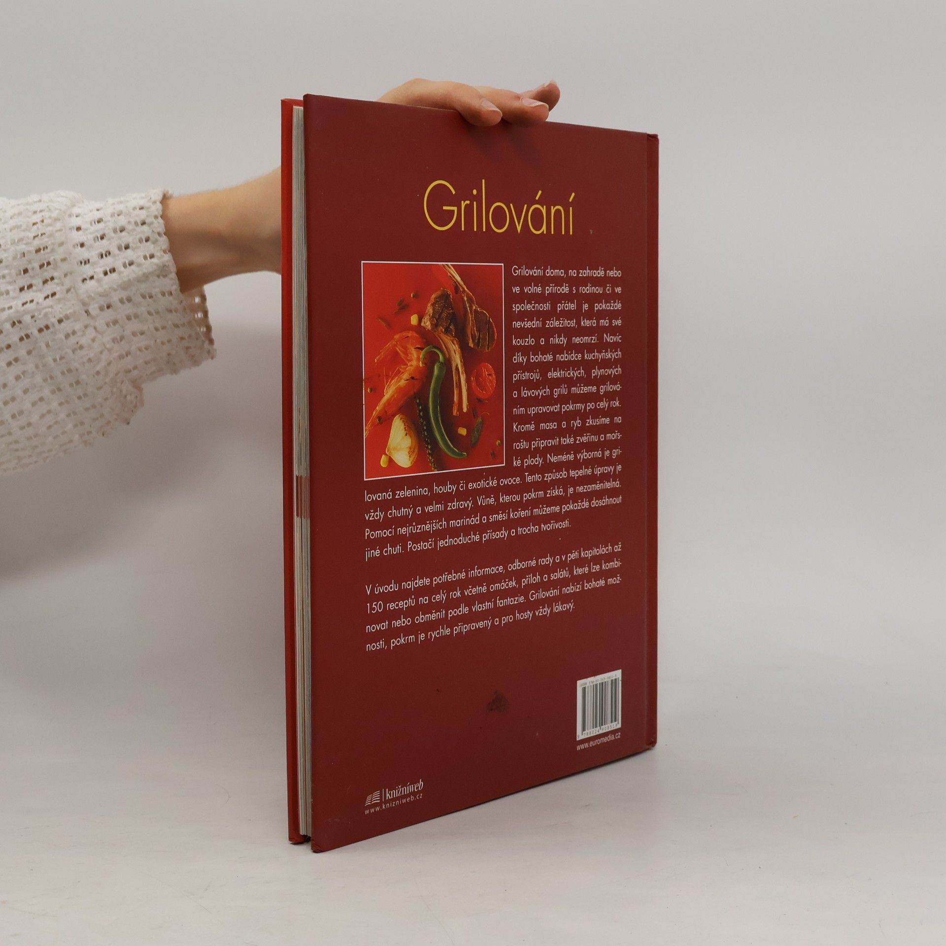 Autorenkollektiv Grilování