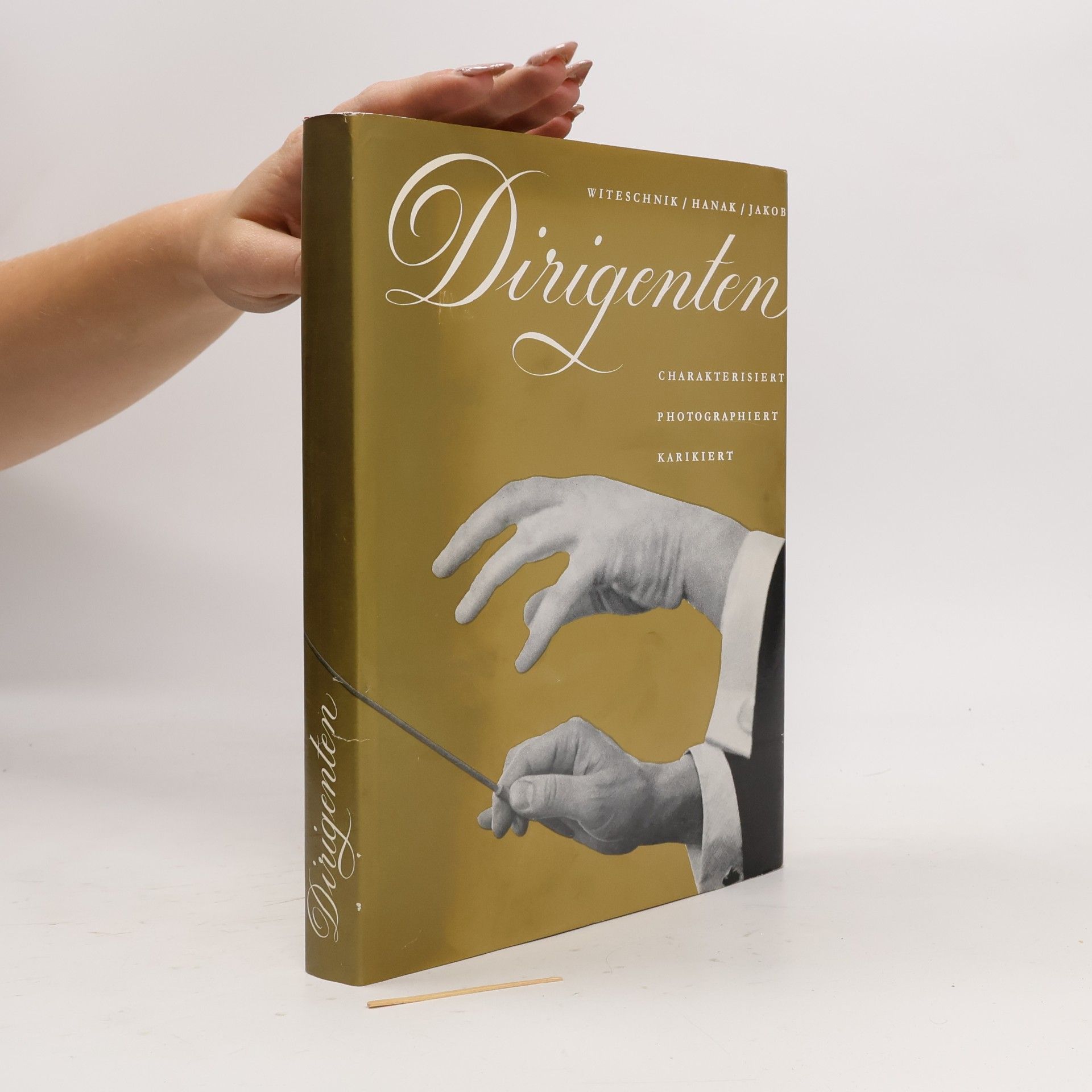 Autores varios Dirigenten