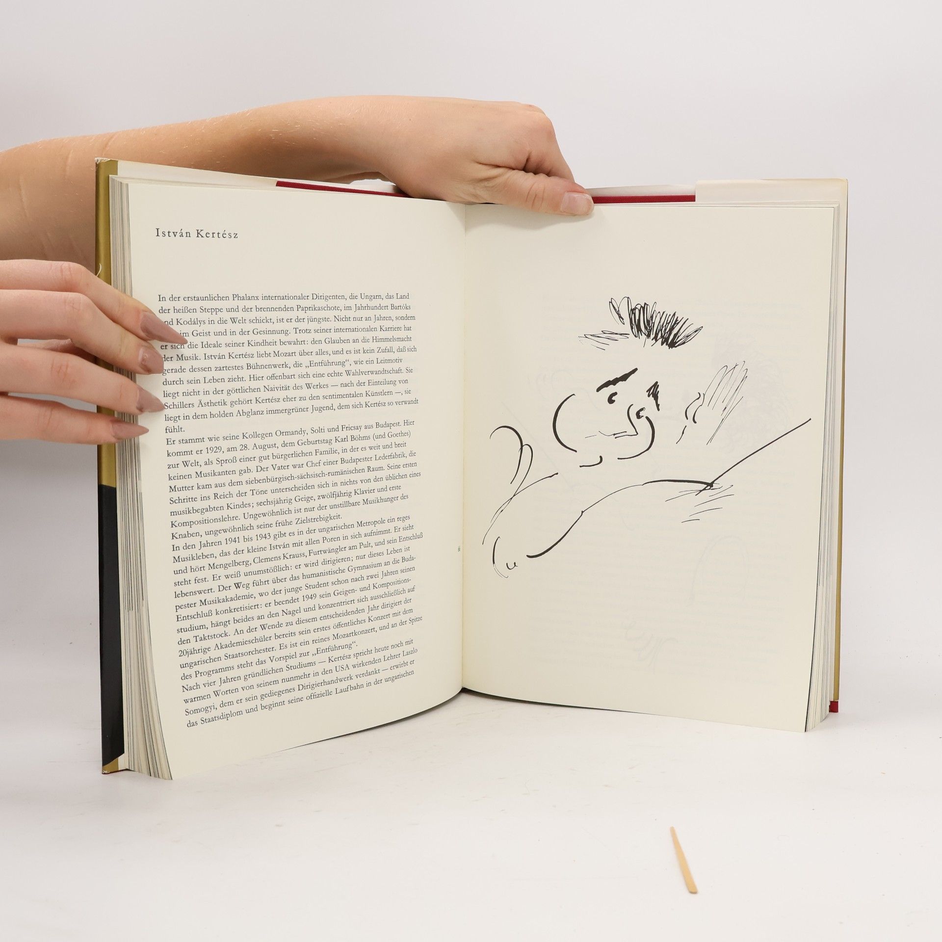 Autores varios Dirigenten