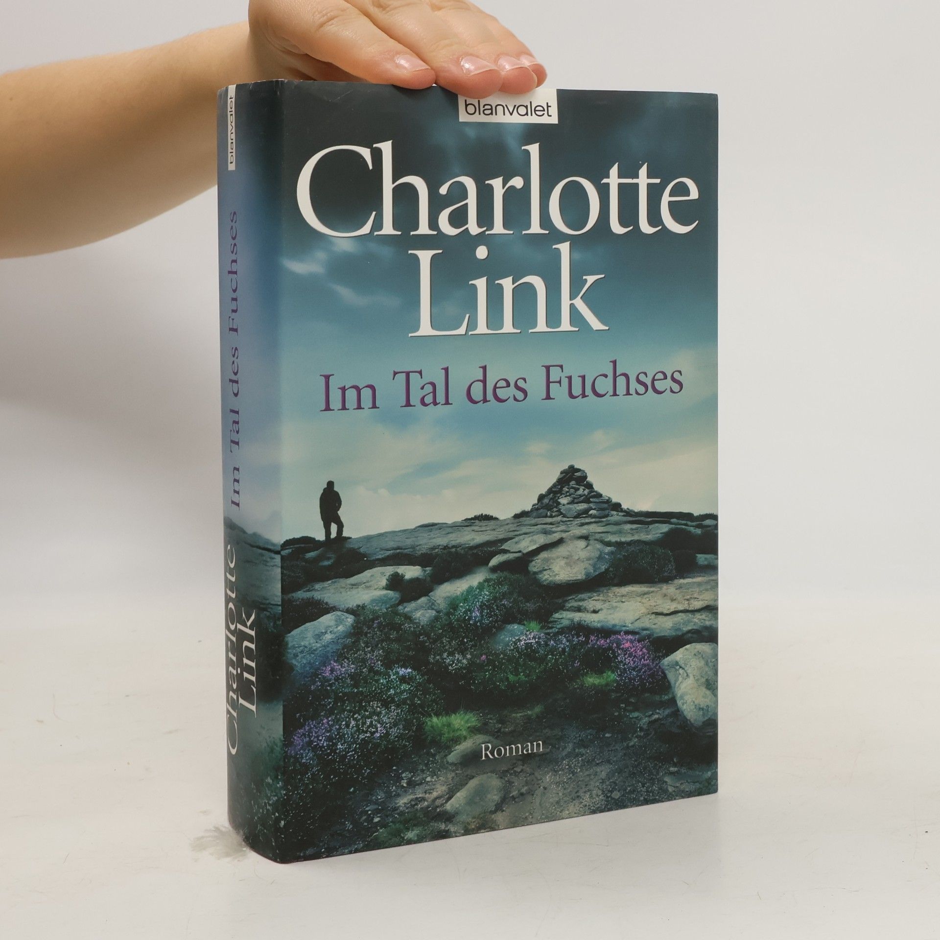 Charlotte Link Im Tal des Fuchses