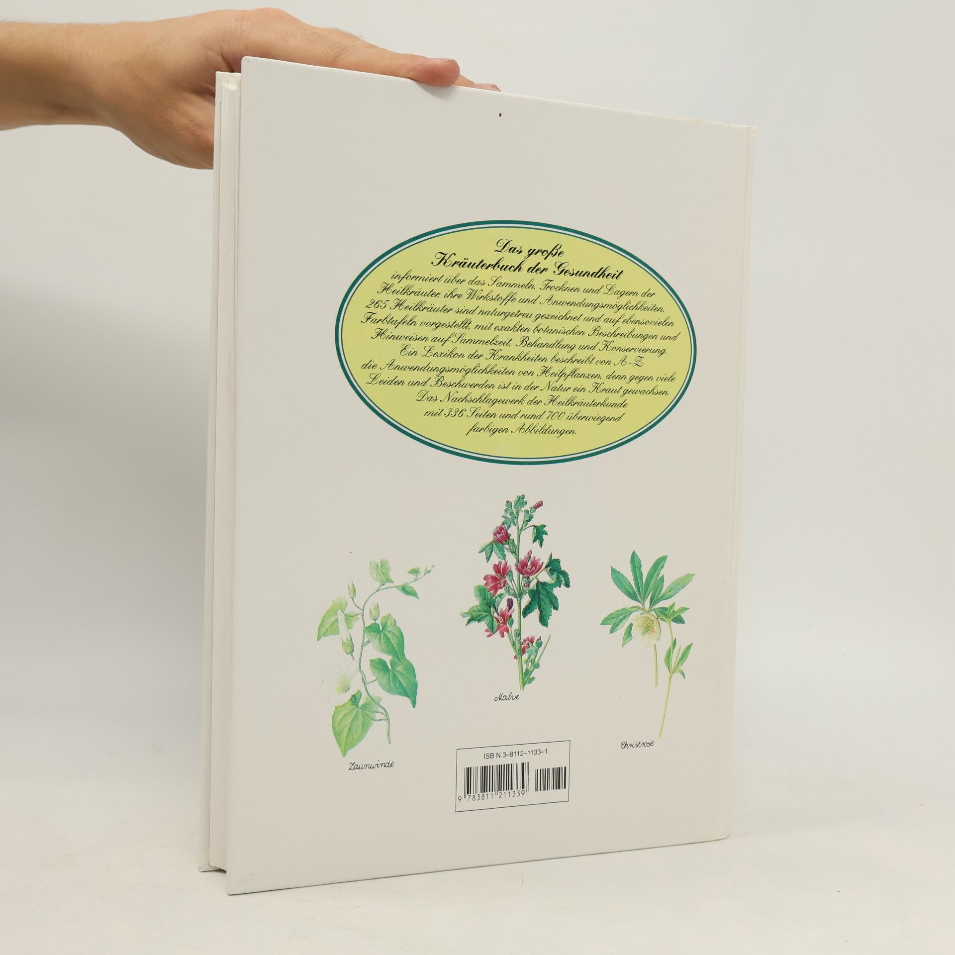 Jan Volák Das große Kräuterbuch der Gesundheit