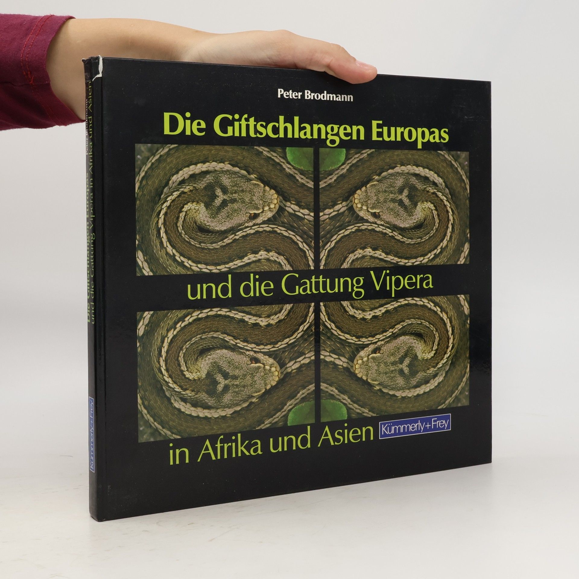 Peter Brodmann Die Giftschlangen Europas und die Gattung Vipera in Afrika und Asien