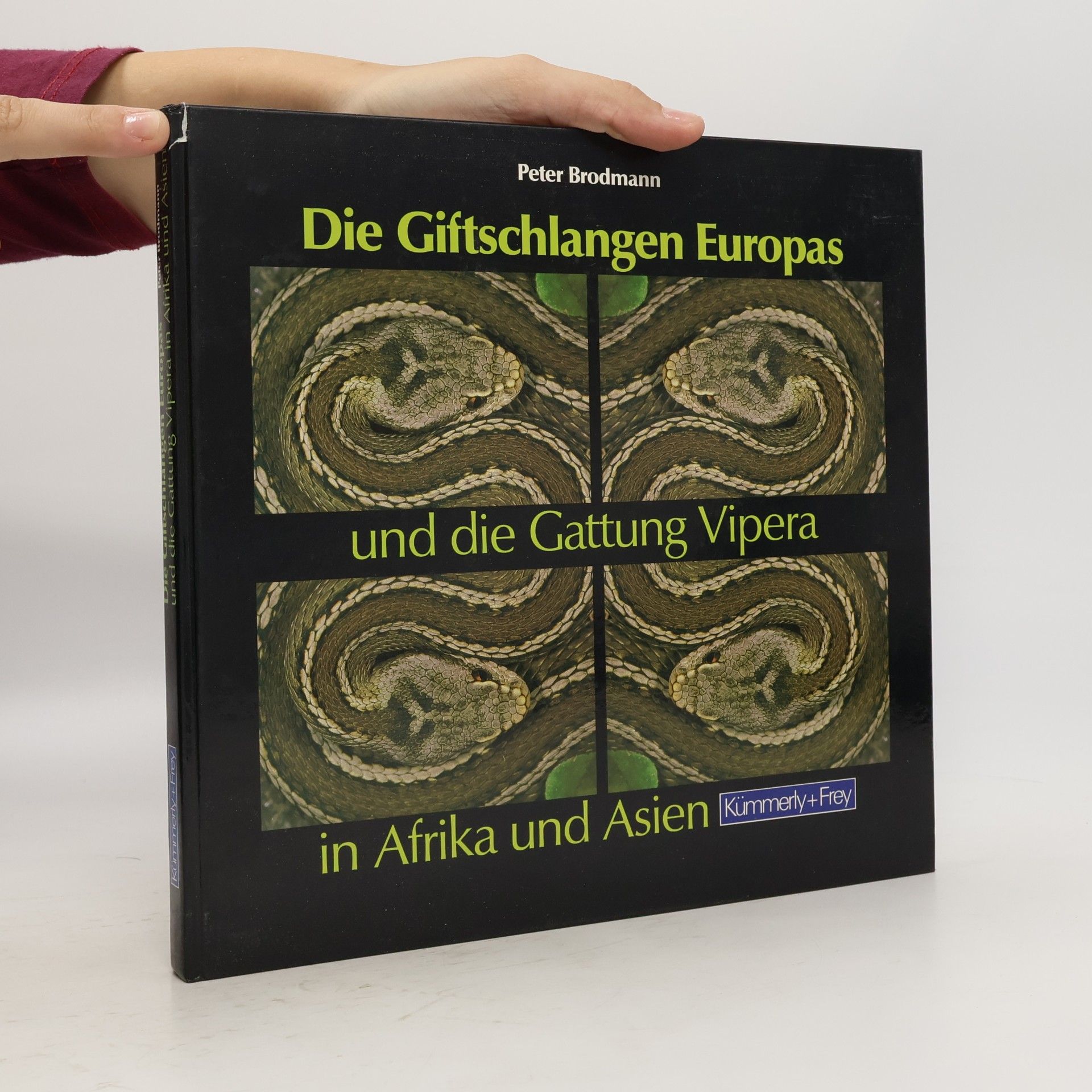 Peter Brodmann Die Giftschlangen Europas und die Gattung Vipera in Afrika und Asien