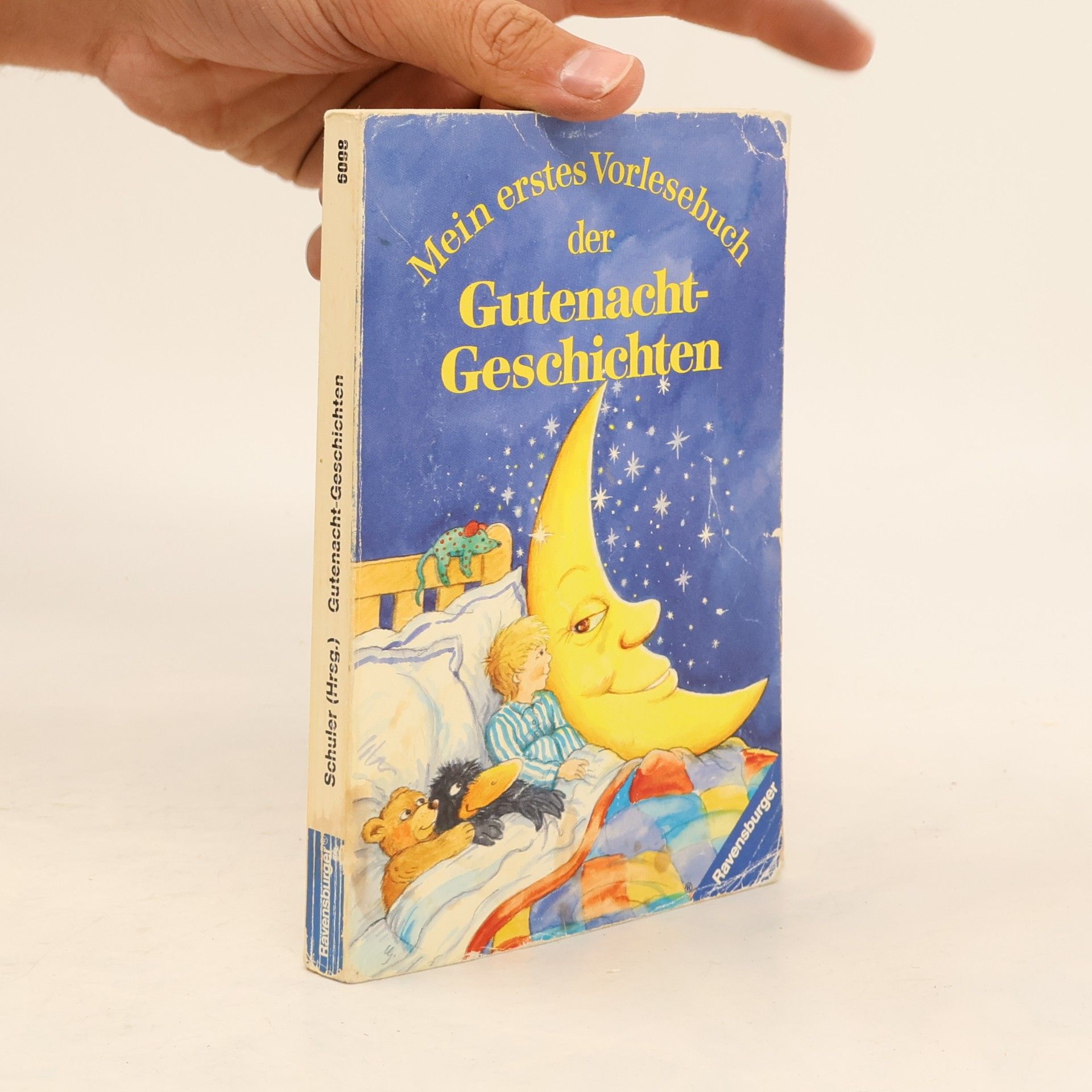 Kolektiv autorů Mein erstes Vorlesebuch der Gutenacht-Geschichten