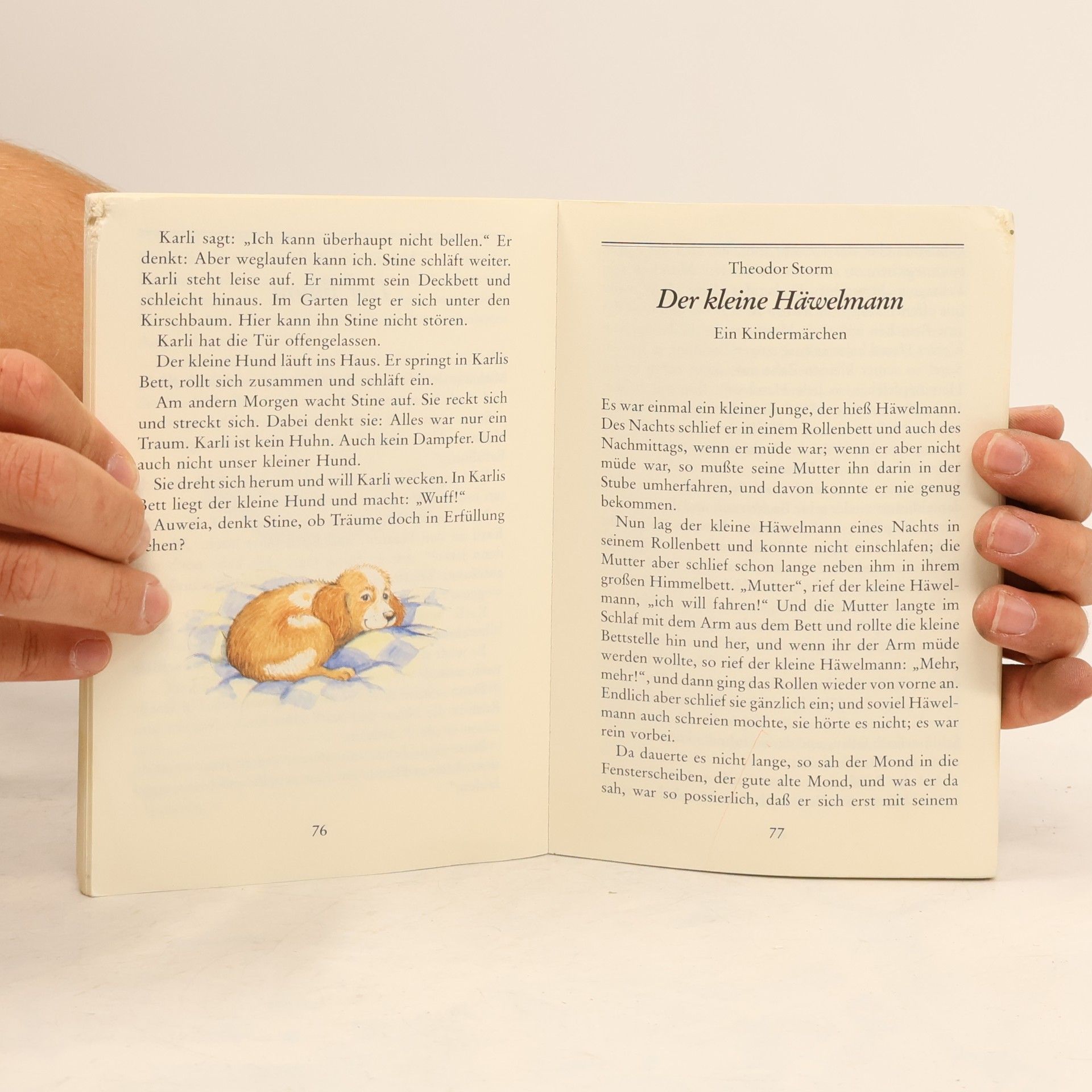 Mein erstes Vorlesebuch der Gutenacht-Geschichten