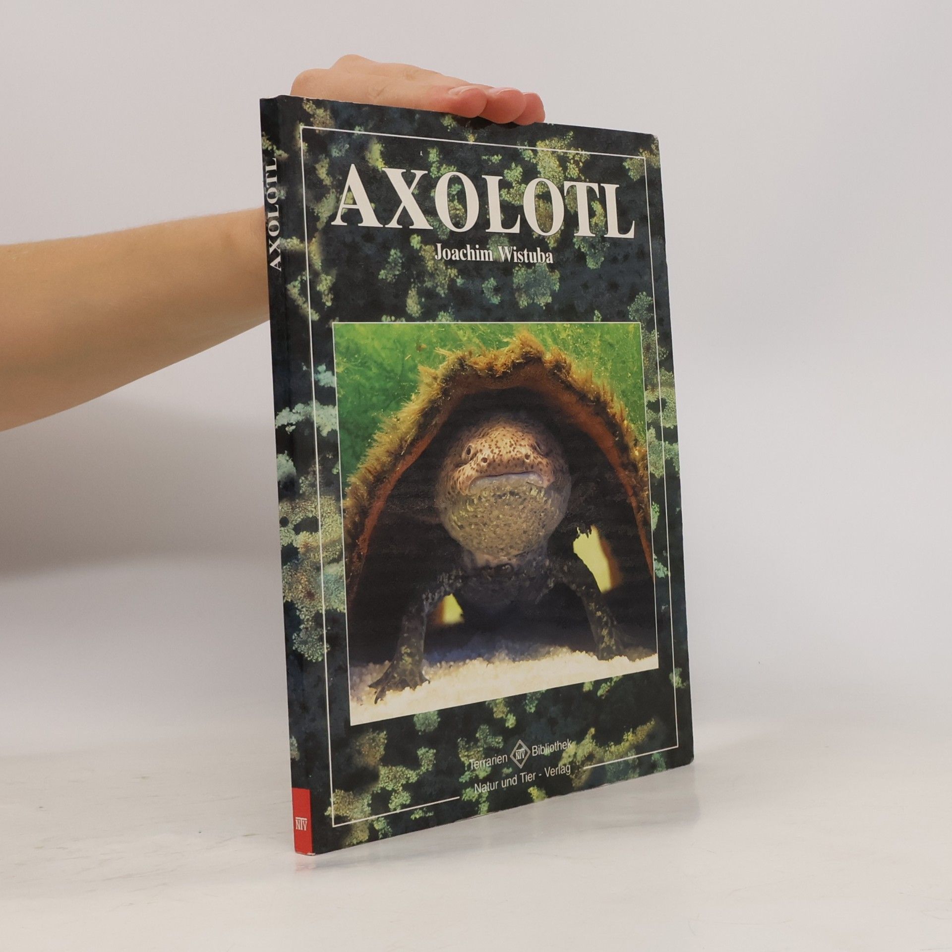 Joachim Wistuba Axolotl