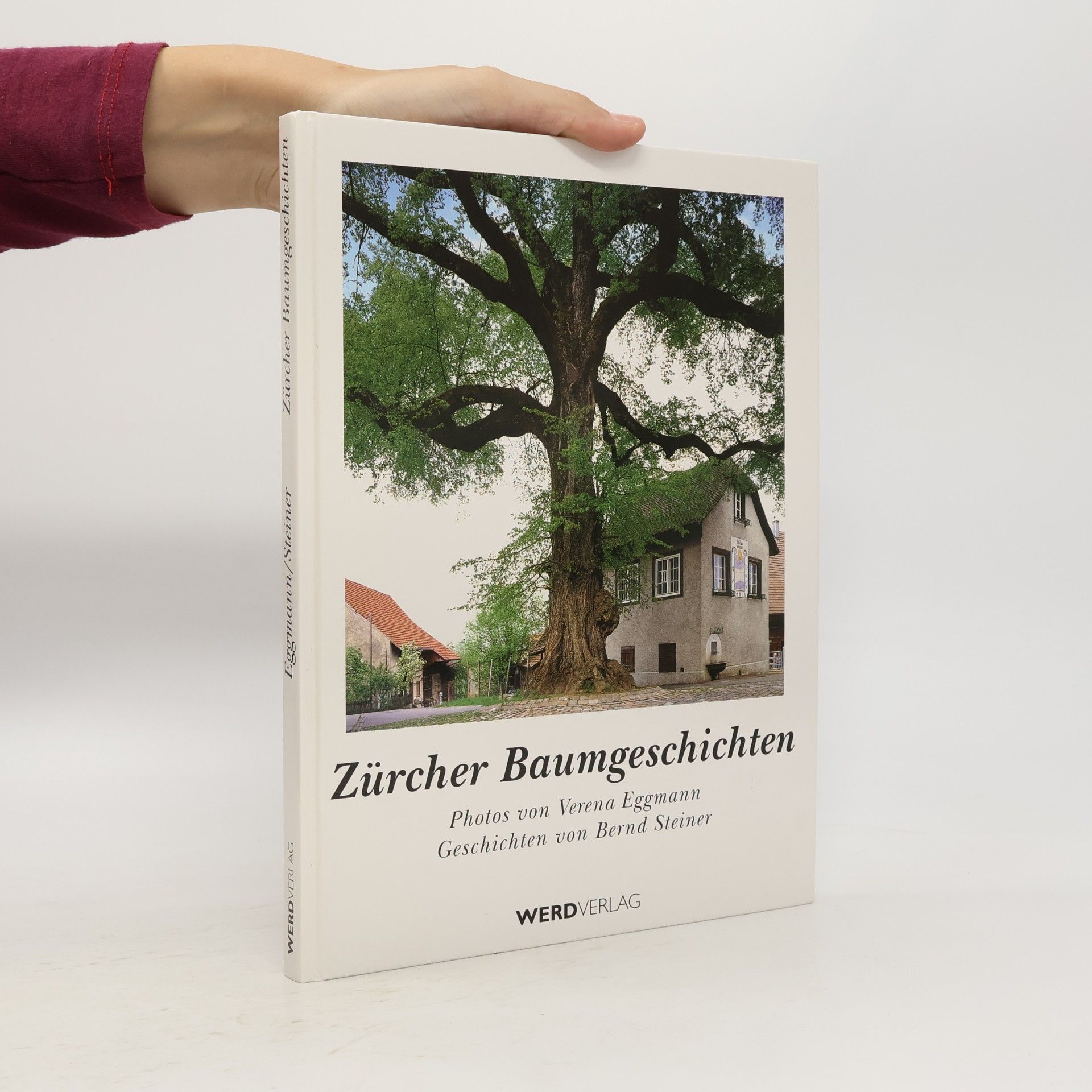 Verena Eggmann Zürcher Baumgeschichten