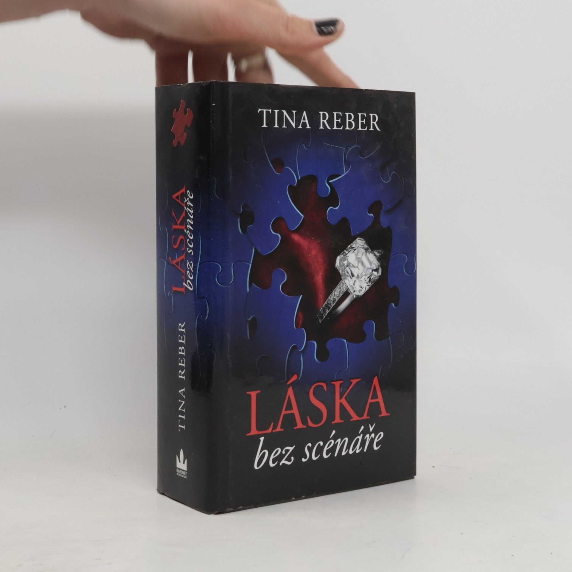 Tina Reber Láska bez scénáře