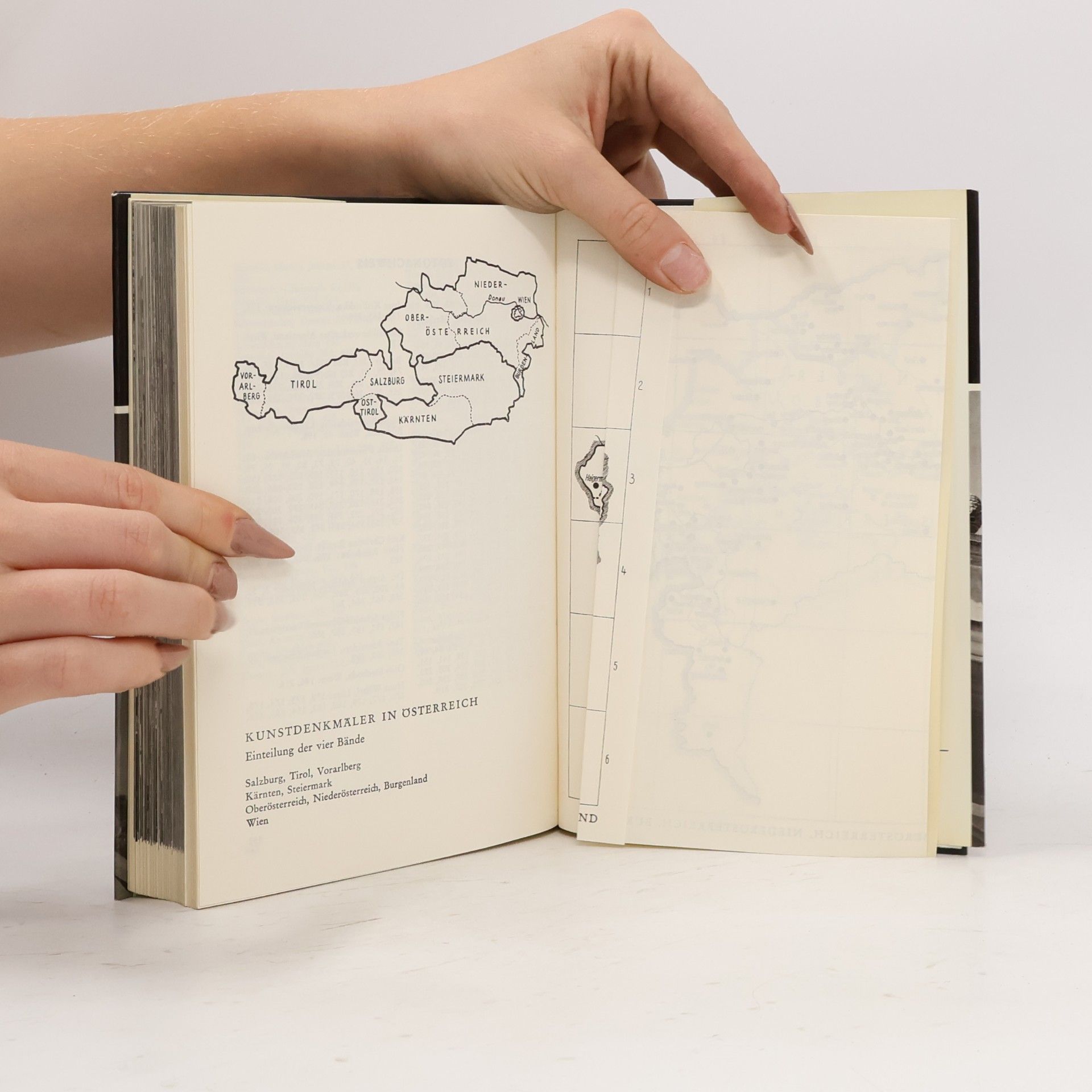 Kolektiv autorů Kunstdenkmäler in Österreich. Oberösterreich, Niederösterreich, Burgenland