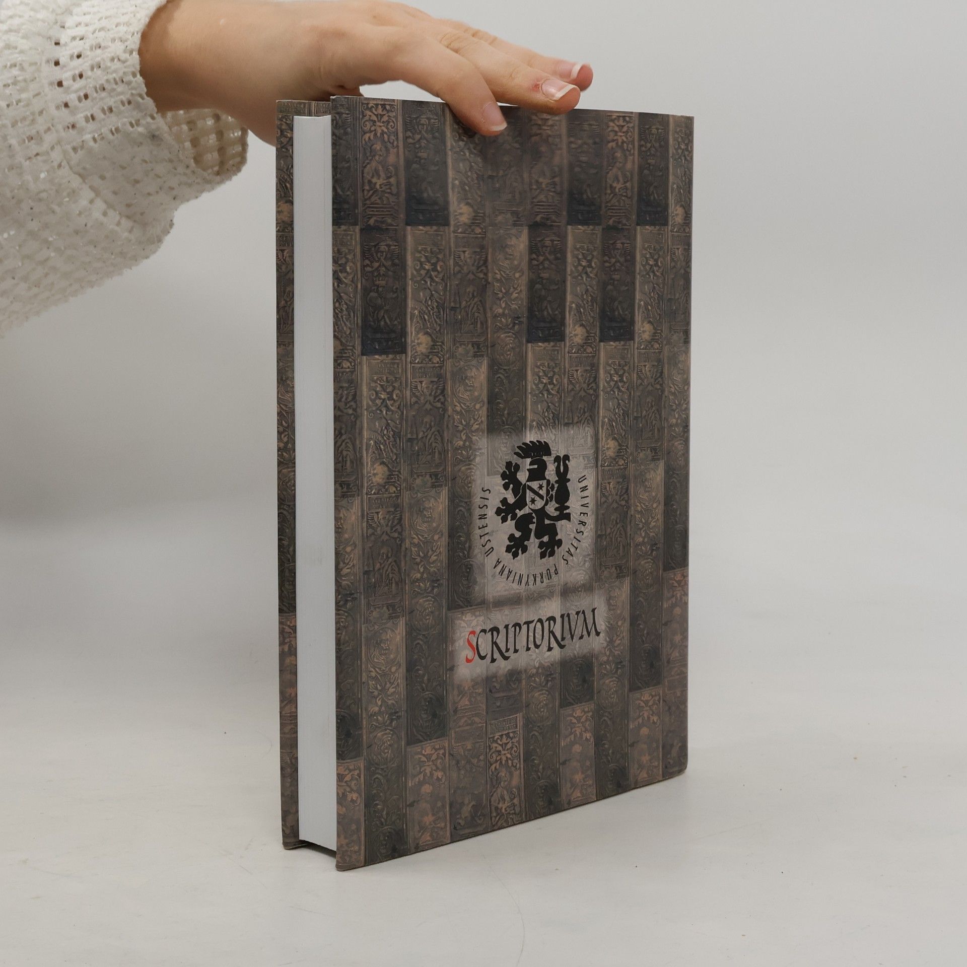 Jaroslava Mendelová Libri Civitatis VIII.