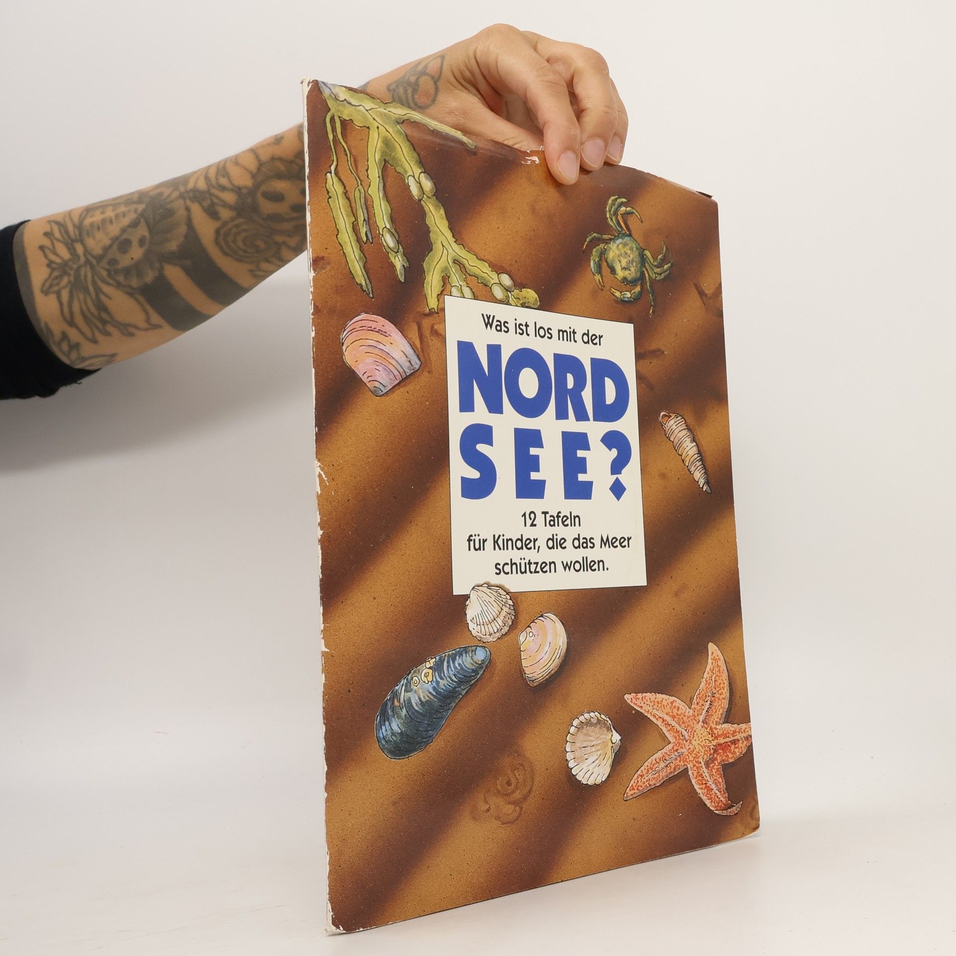 Was ist los mit der Nordsee?