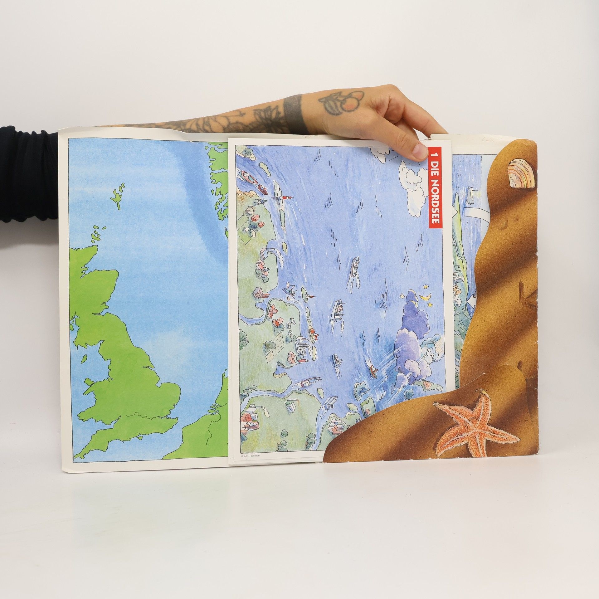 Carola Bury Was ist los mit der Nordsee?