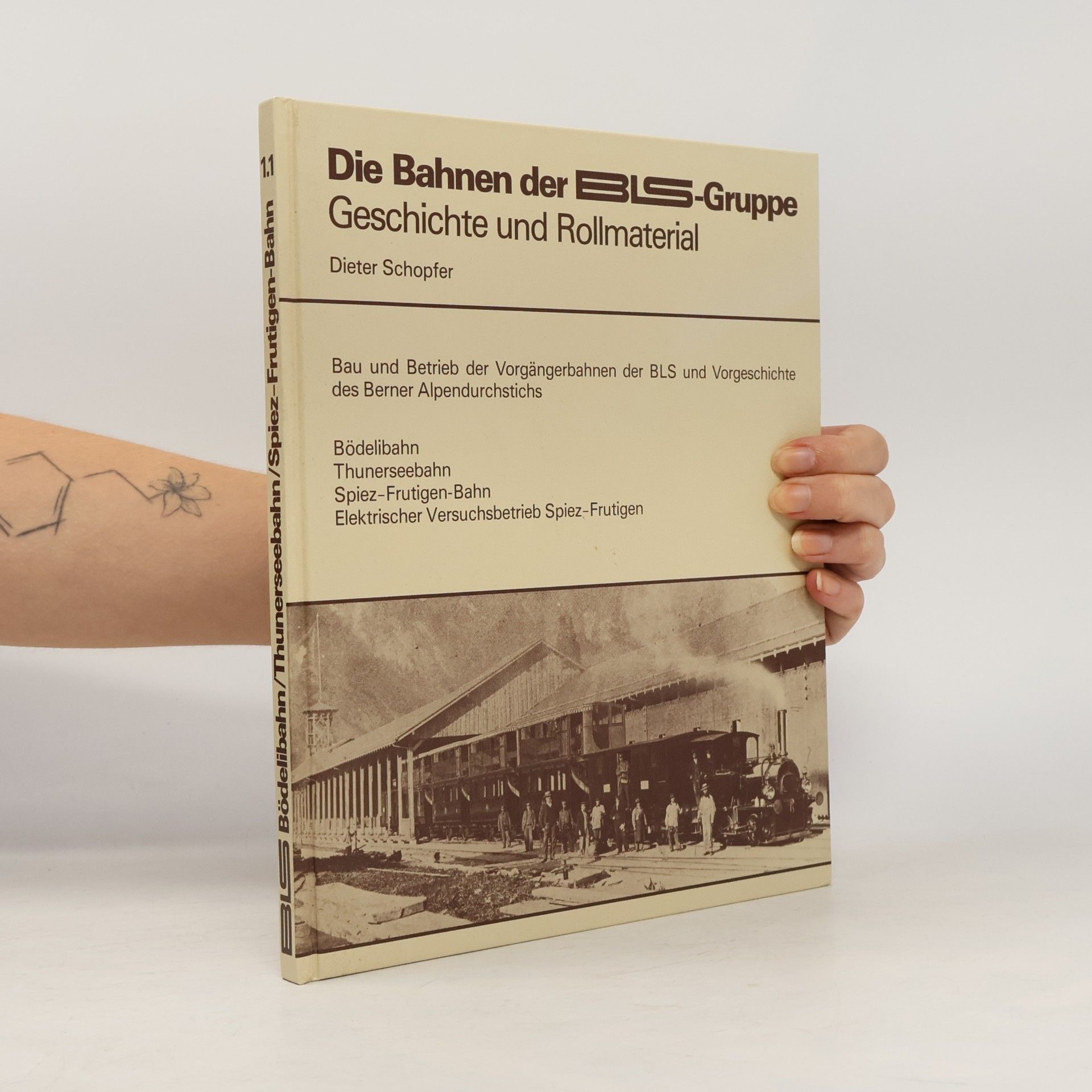 BLS Bödelibahn/Thunerseebahn/Spiez-Frutigen-Bahn - 1.1: Die Bahnen der BLS-Gruppe