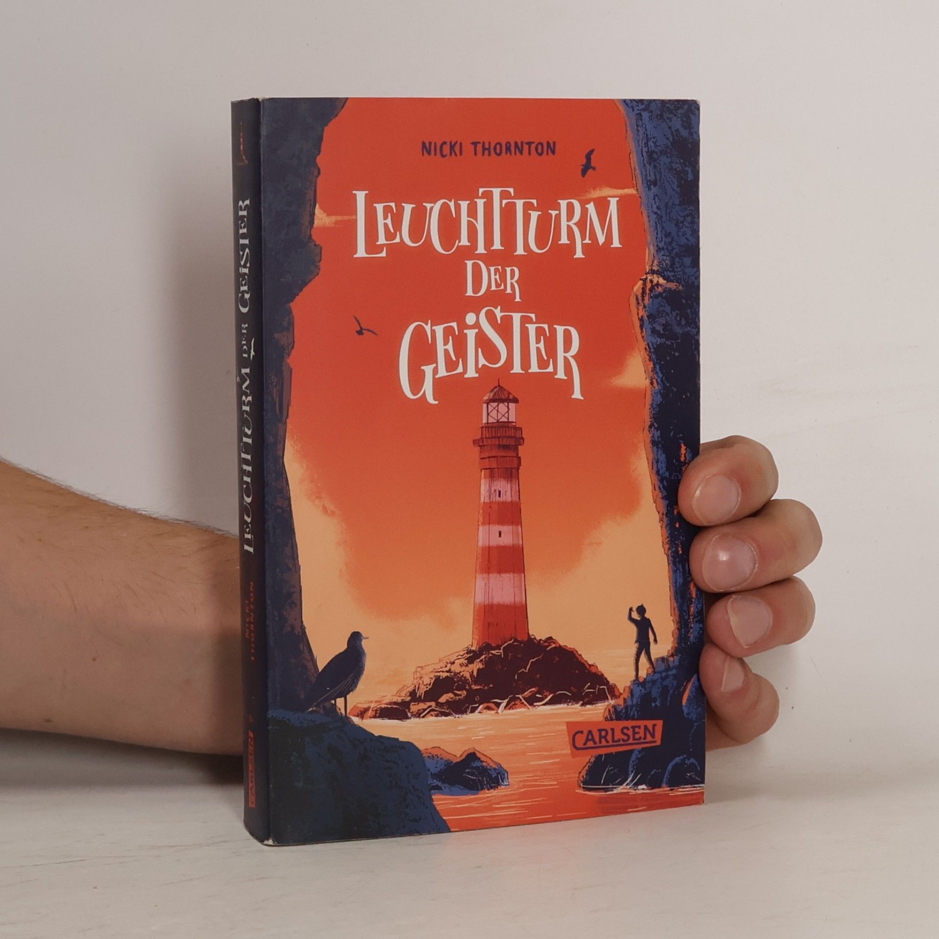Nicki Thornton Leuchtturm der Geister (Hotel der Magier 2)