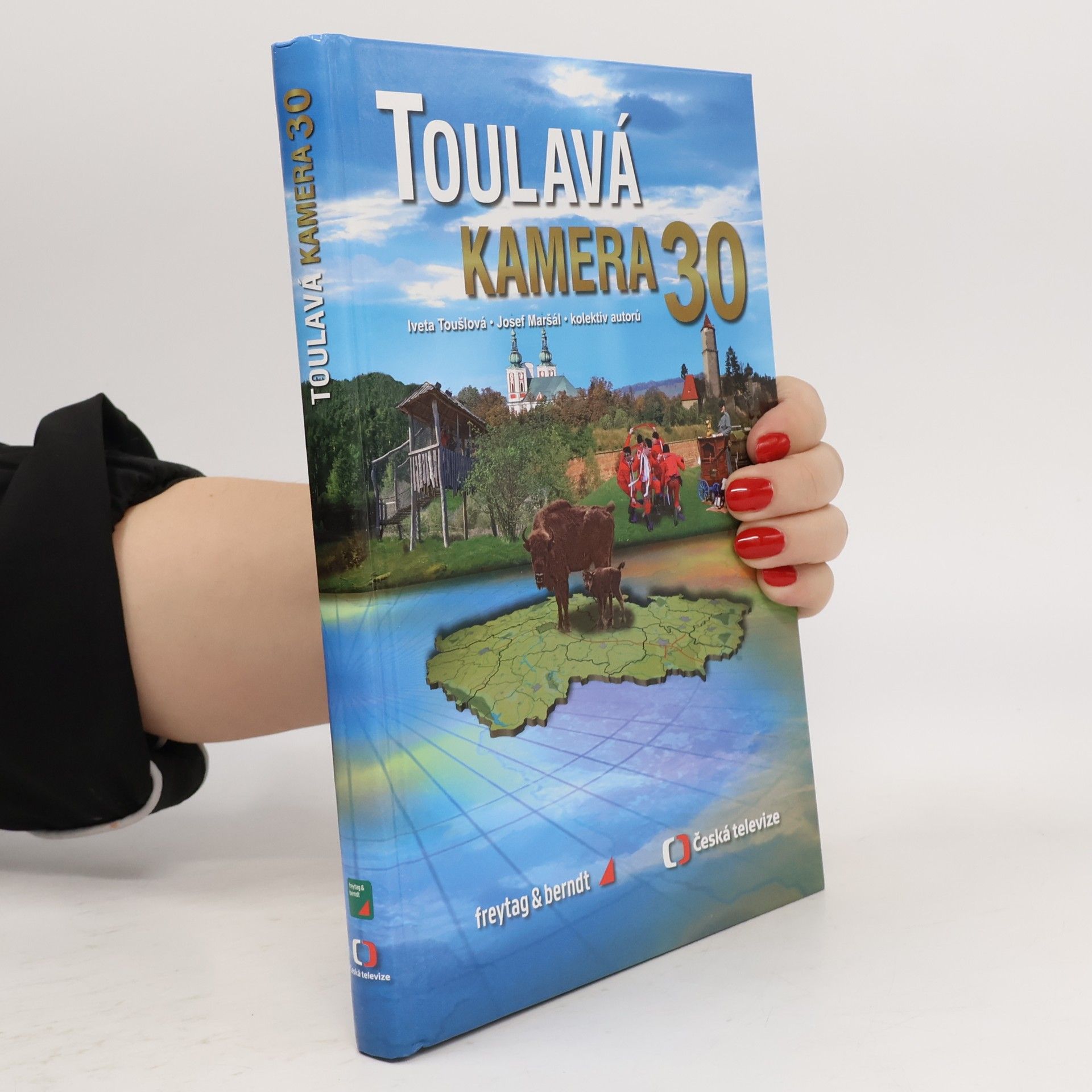 Iveta Toušlová Toulavá kamera. 30