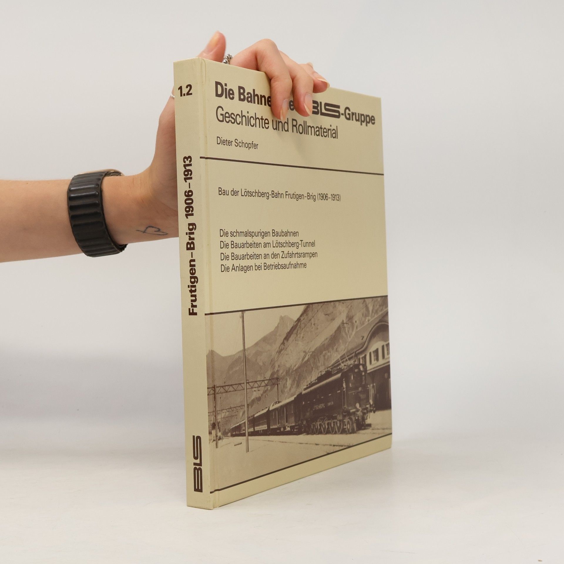 Die Bahnen der BLS-Gruppe. Geschichte und Rollmaterial
