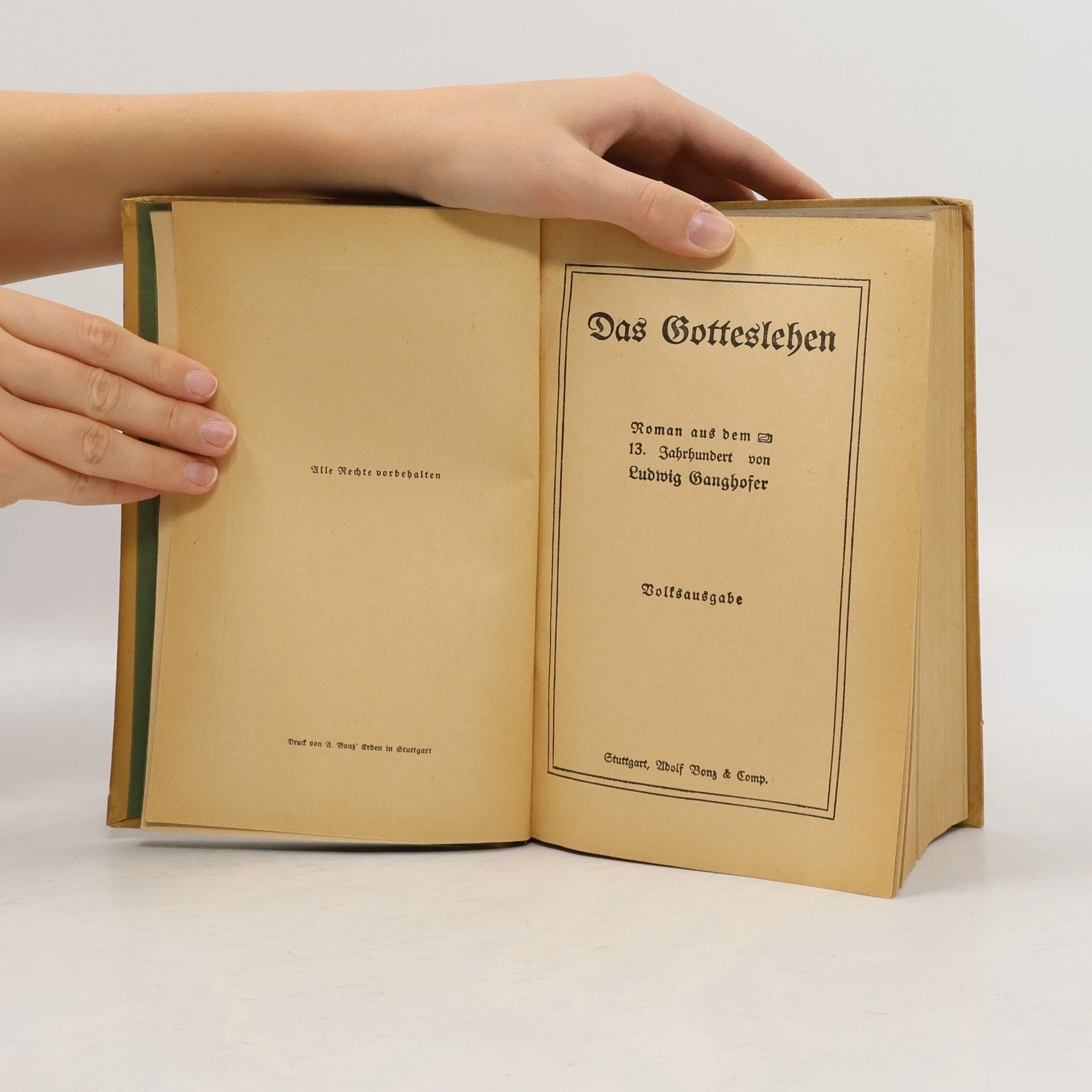 Ludwig Ganghofer Gesammelte Schriften 3. Band 9-10
