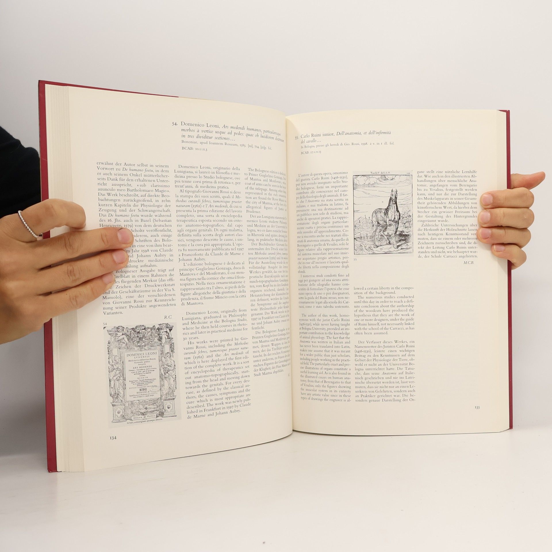 Margherita Spinazzola Alma Mater Librorum