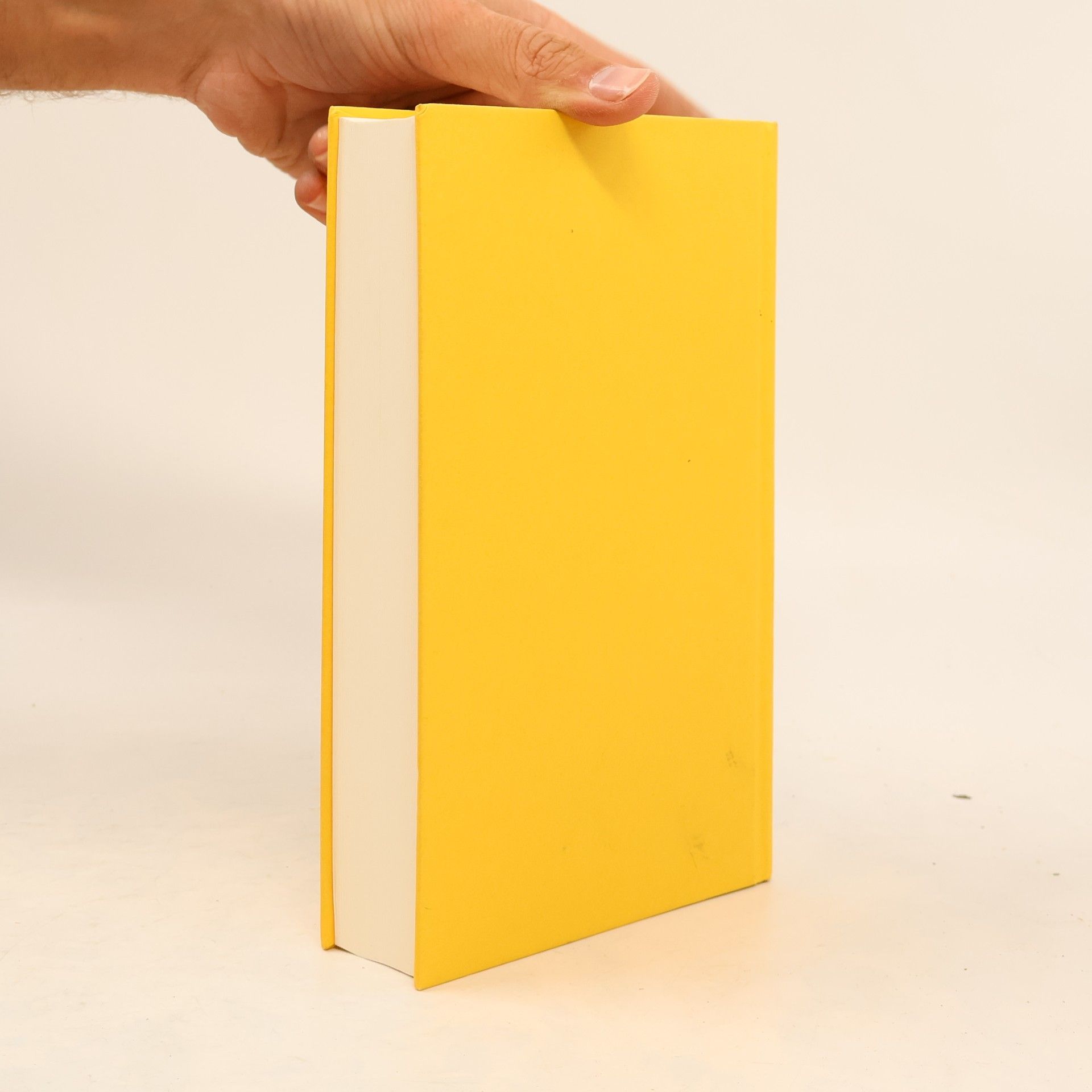 Eliot Pattison Tibetisches Feuer
