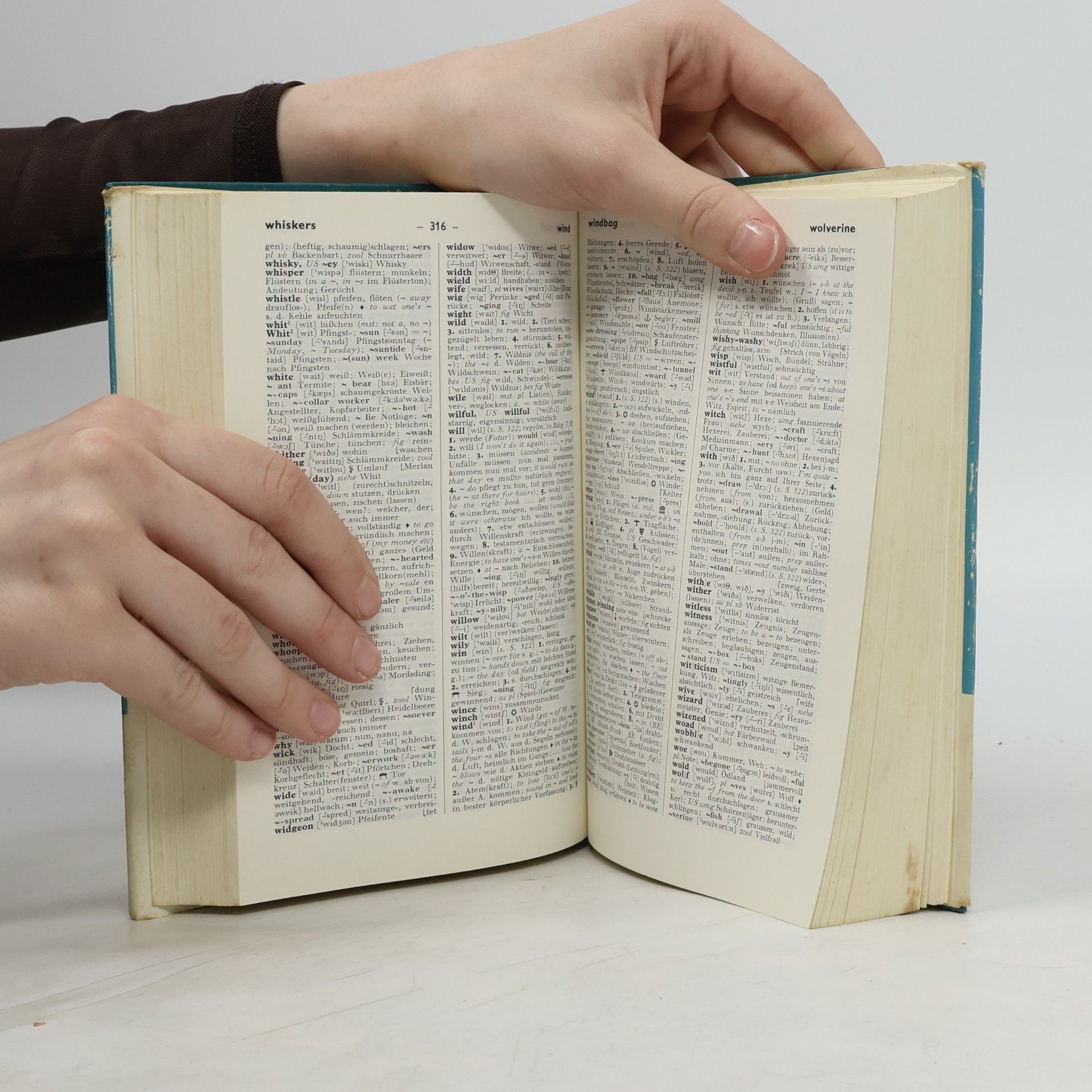 Friederich Wolf Wörterbuch Deutsch-Englisch, Englisch-Deutsch