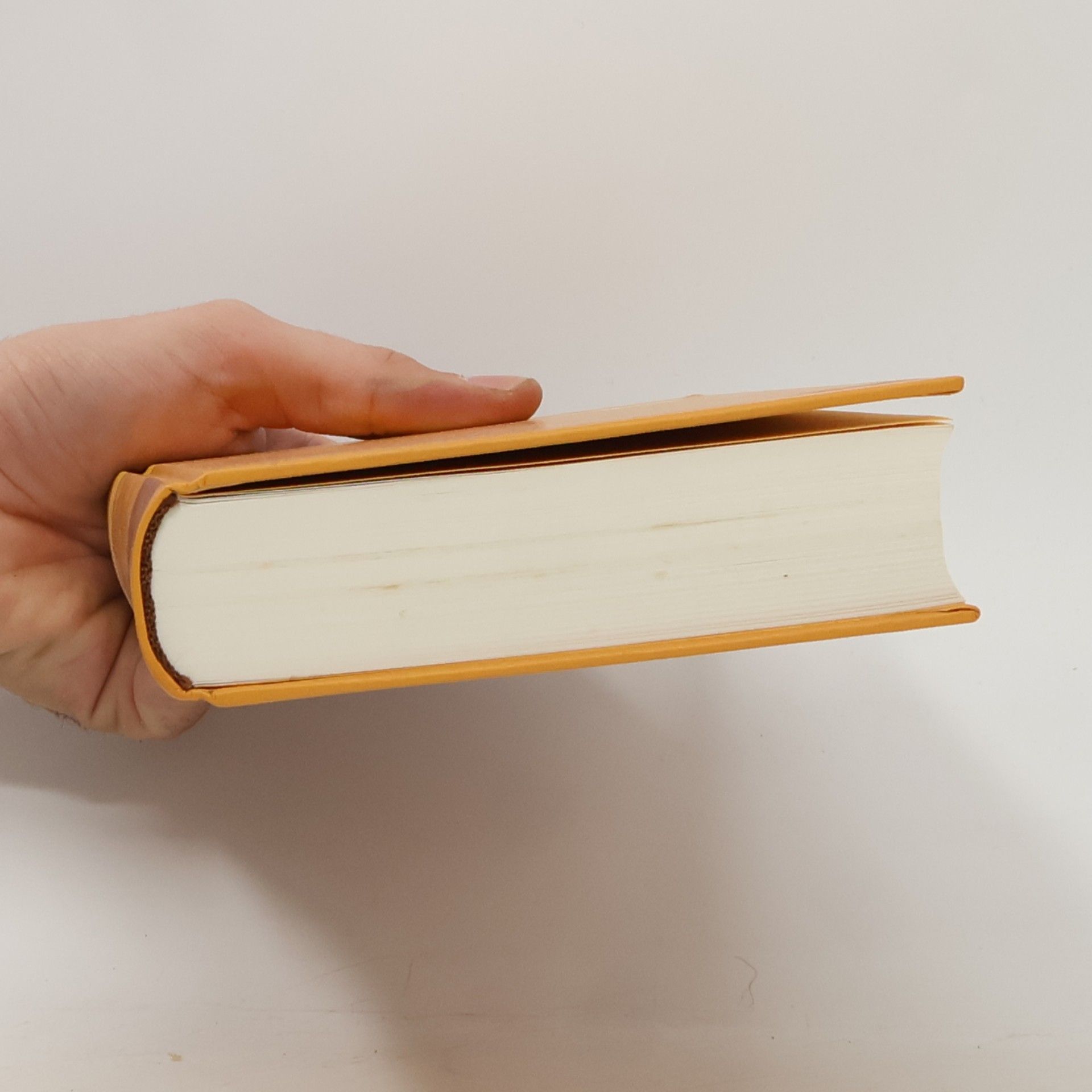 Gerald Wiemers Sächsische Lebensbilder