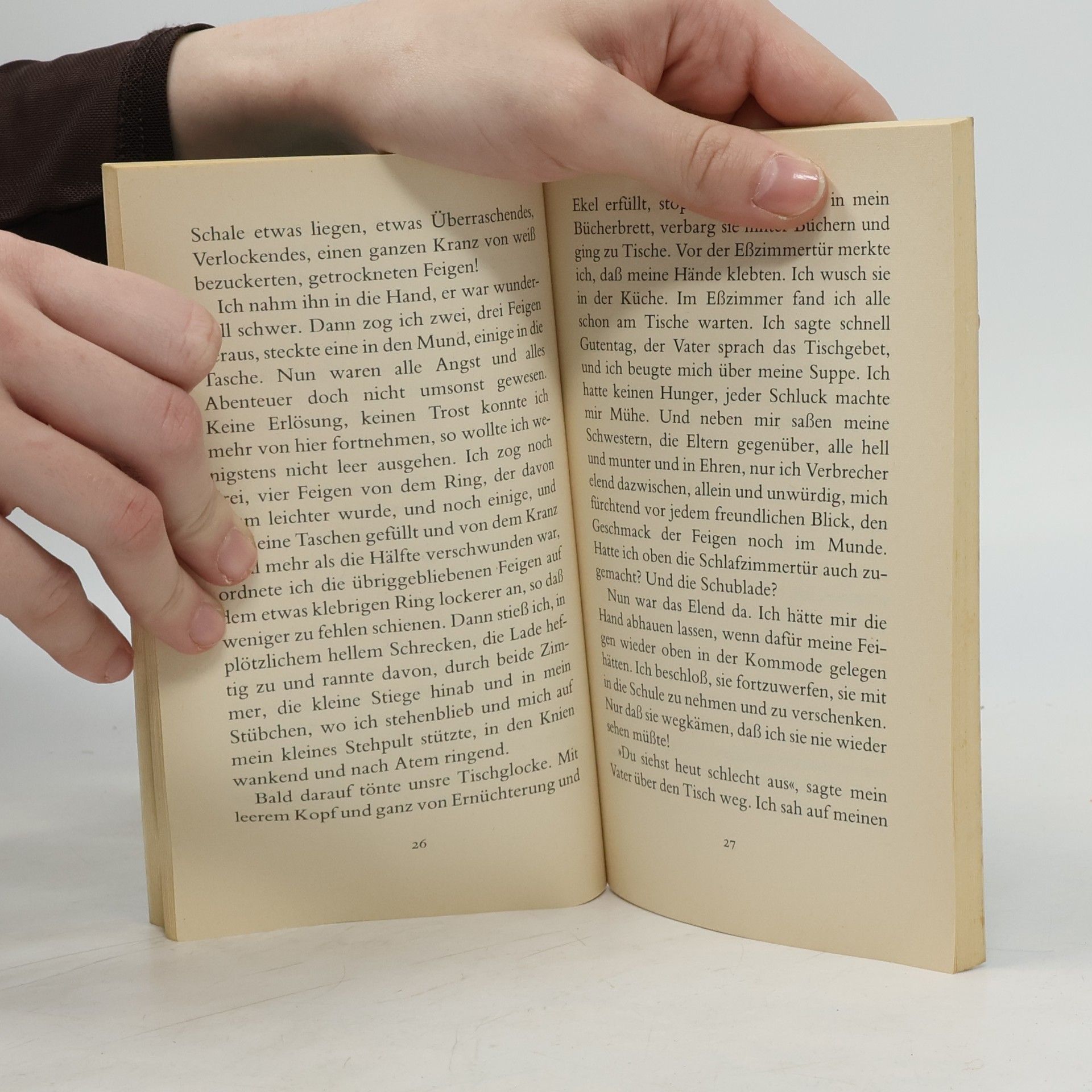 Hermann Hesse Kinderseele