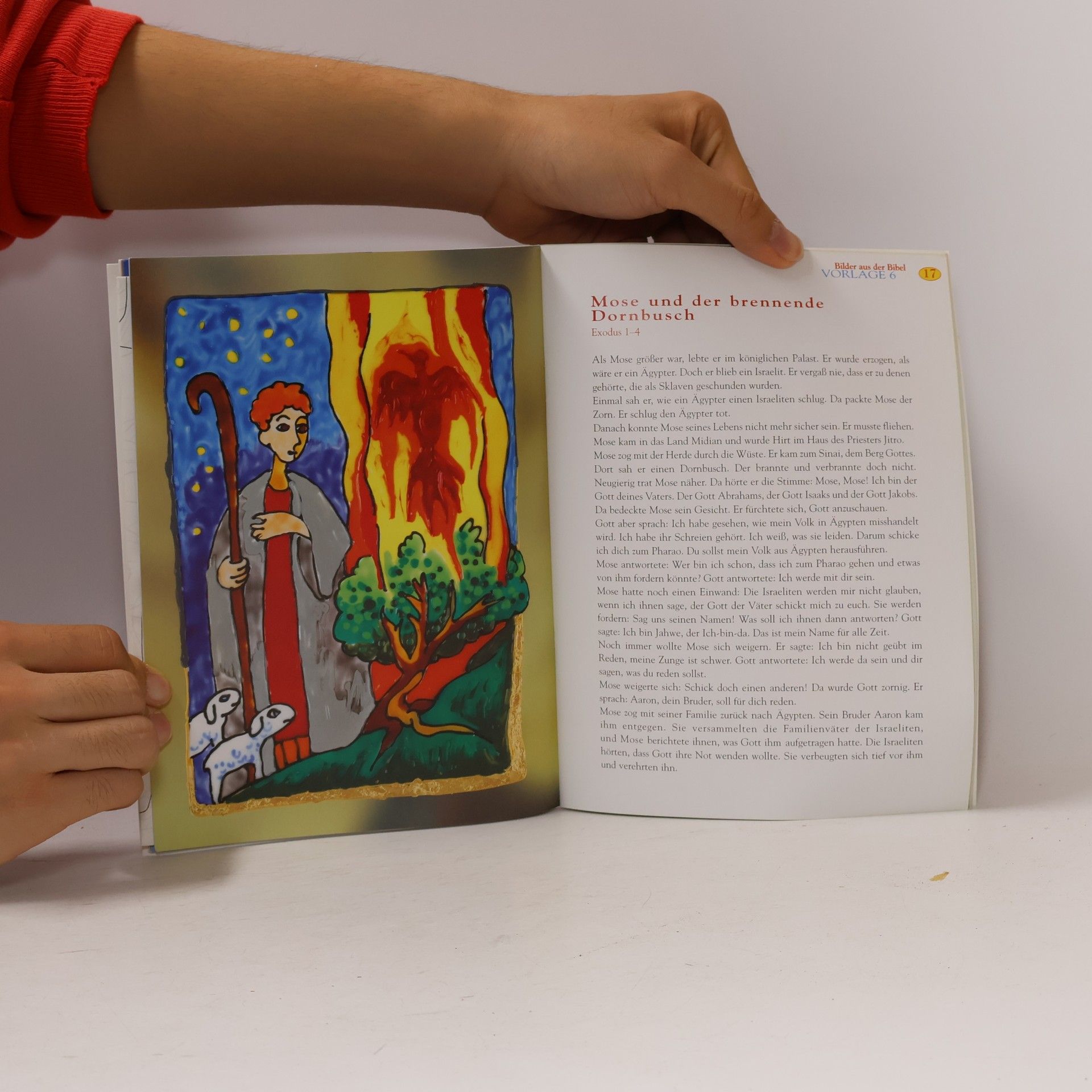 Sascha Wuillemet Bilder aus der Bibel