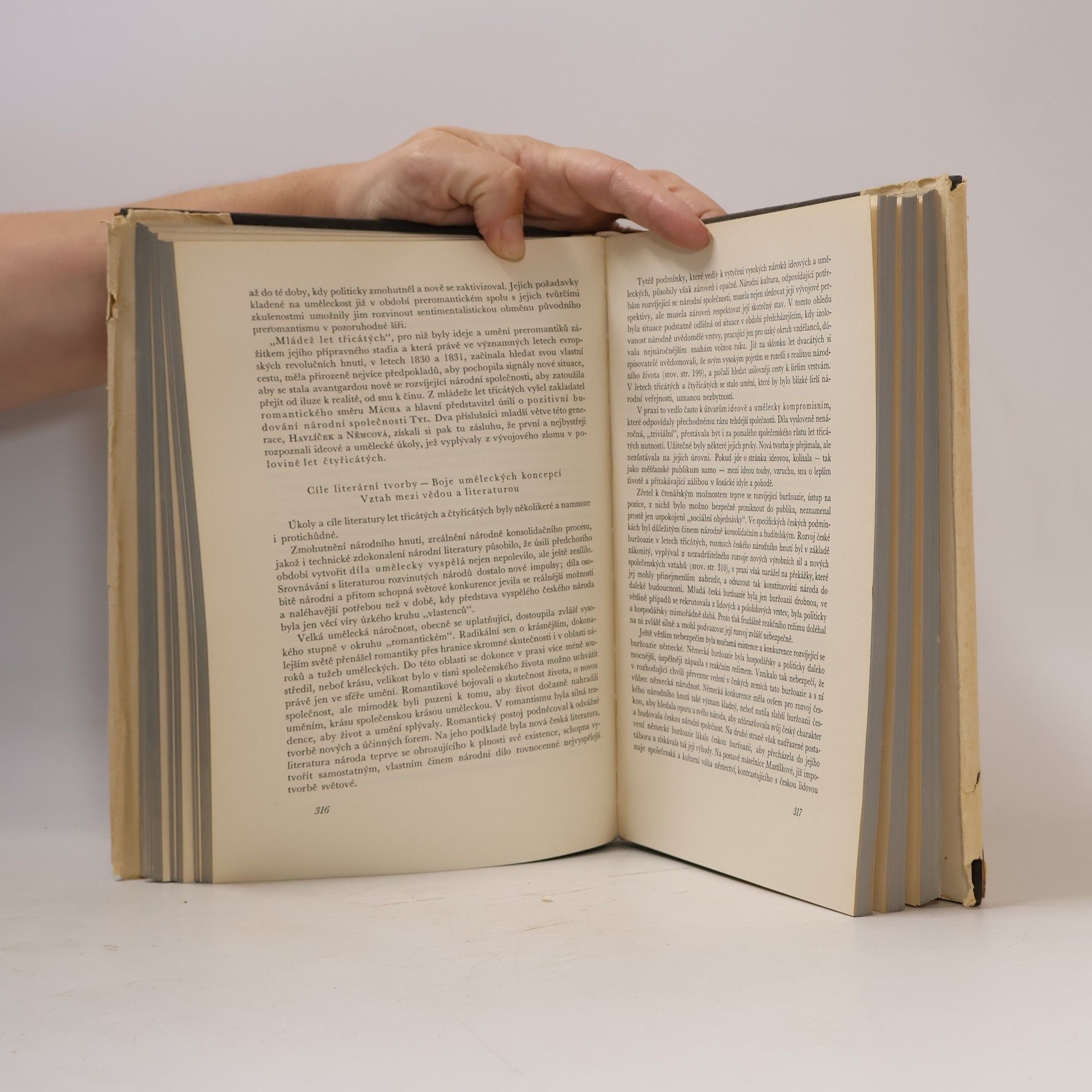 AA.VV. Dějiny české literatury II.