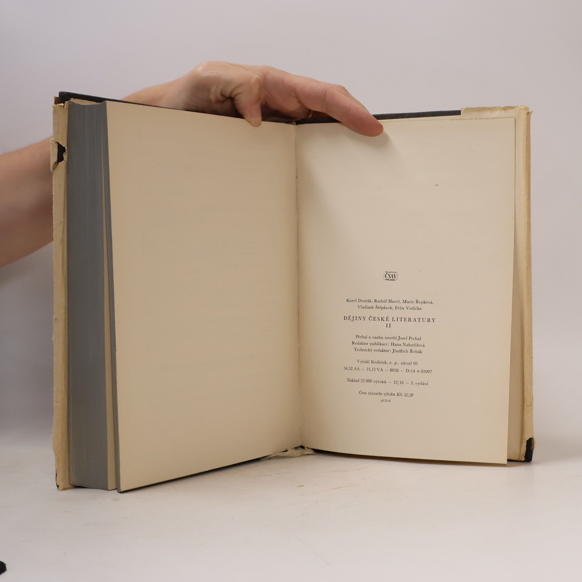 AA.VV. Dějiny české literatury II.