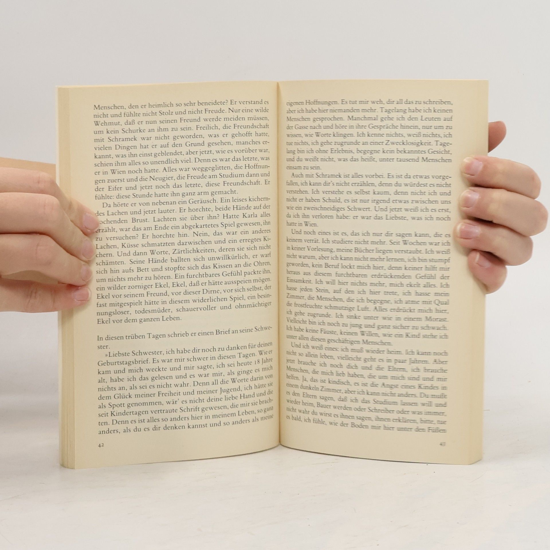Stefan Zweig Die Hochzeit von Lyon und andere Erzählungen