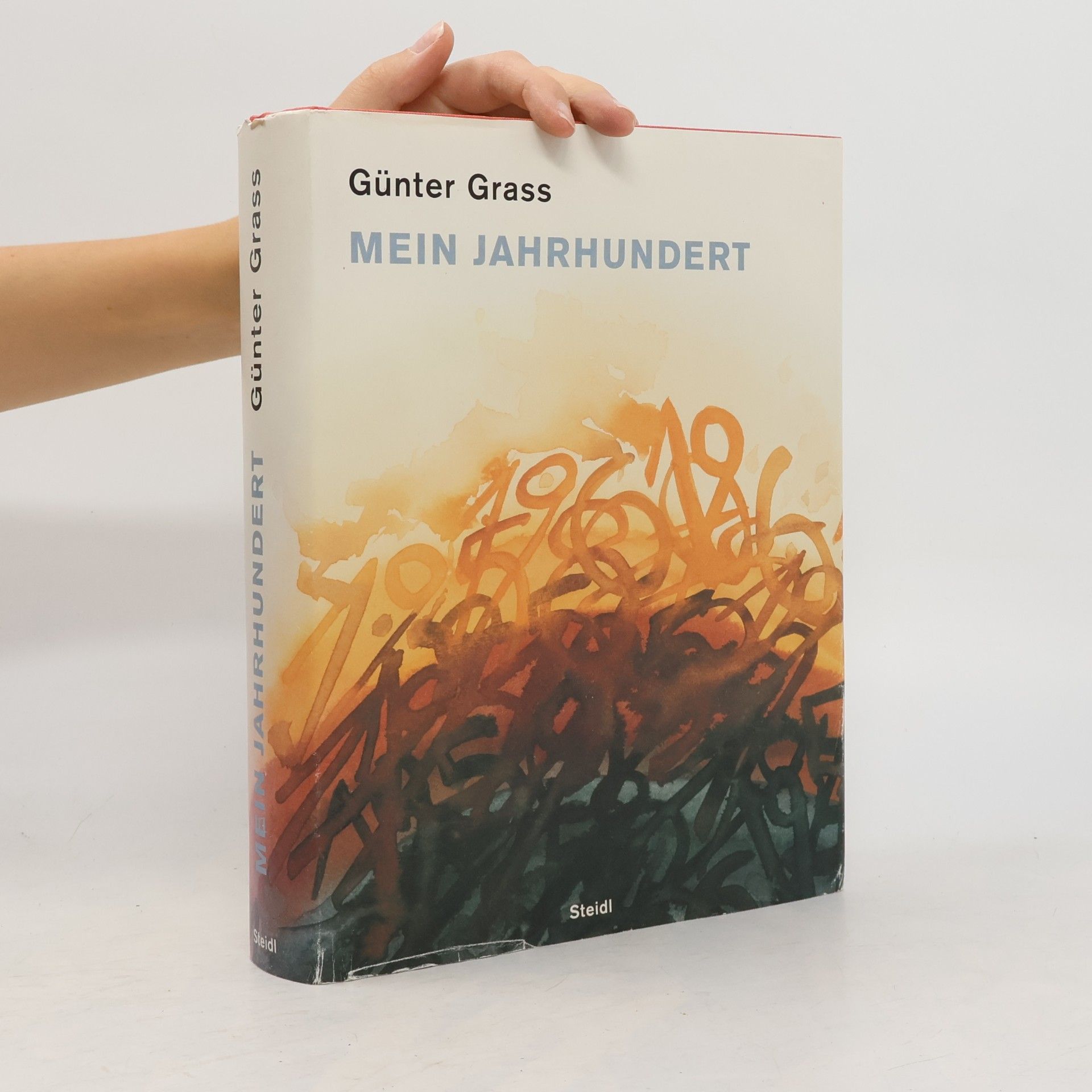 Günter Grass Mein Jahrhundert