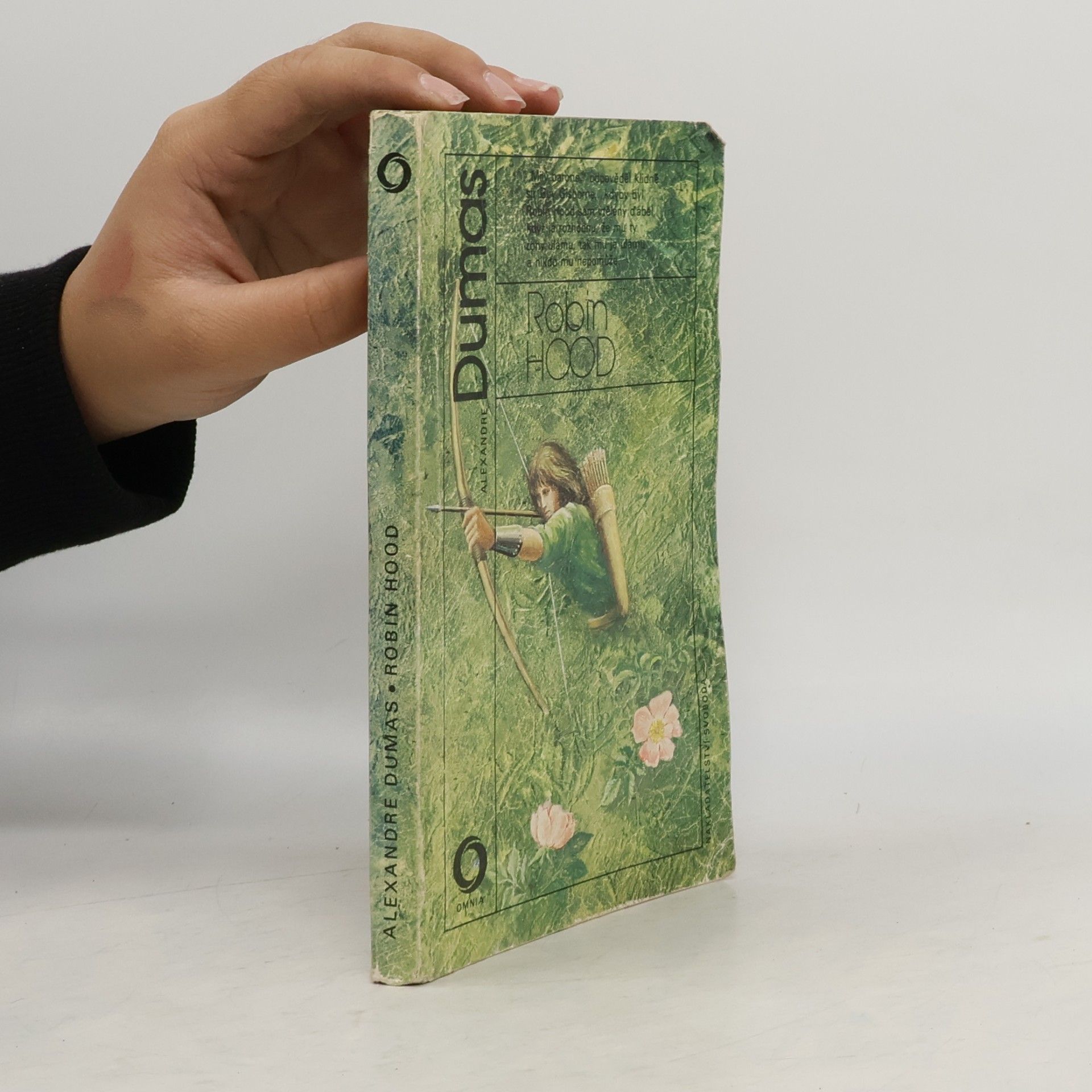 Alexandre Dumas der Ältere Robin Hood