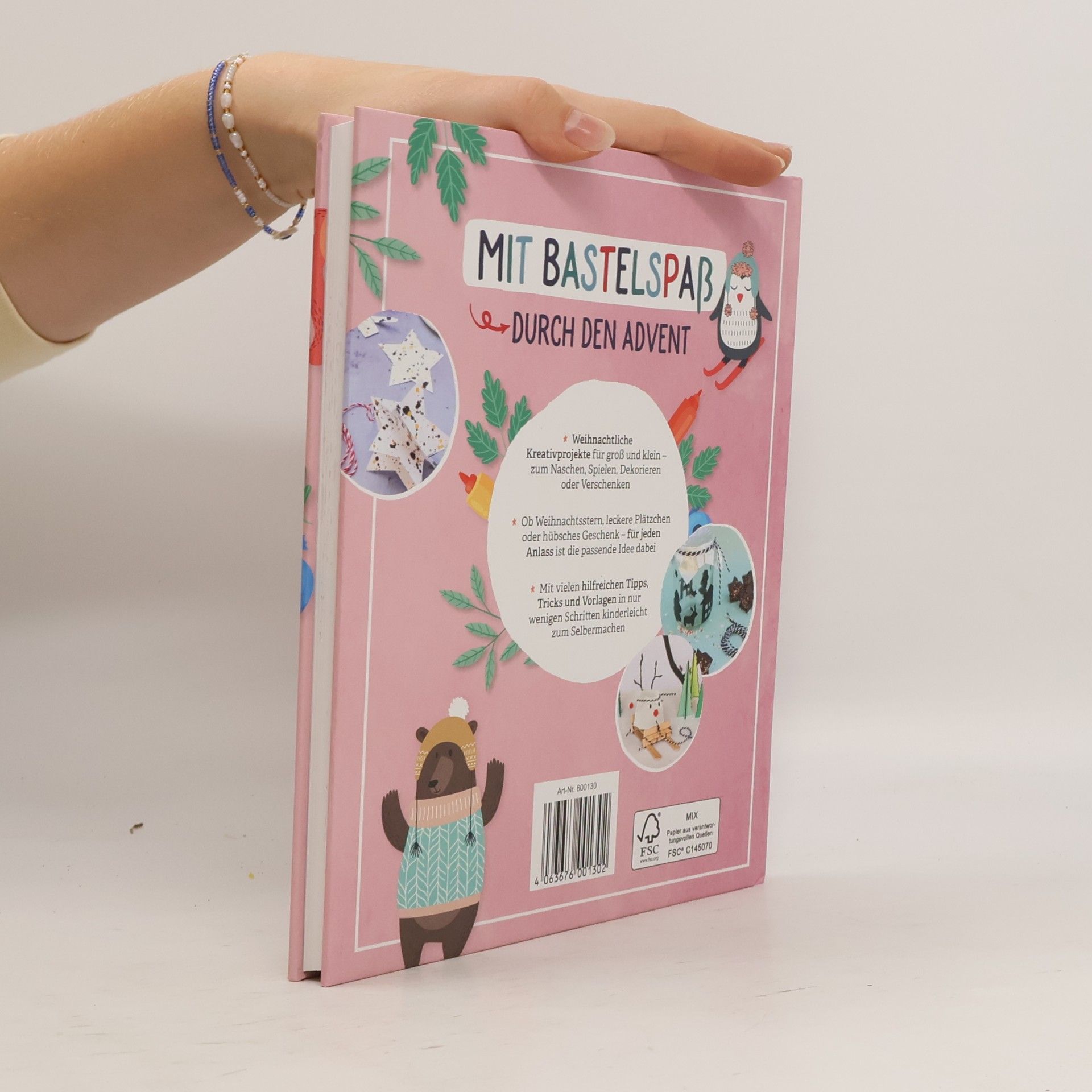 Various authors Mein großes Weihnachts-Bastelbuch