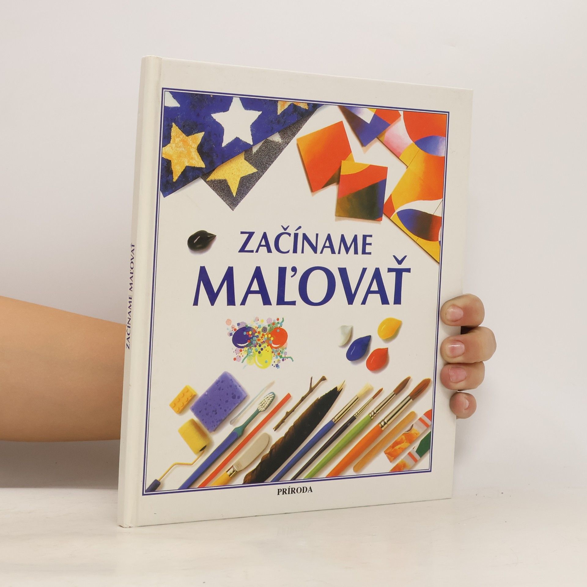 Susan Mayes Začíname maľovať