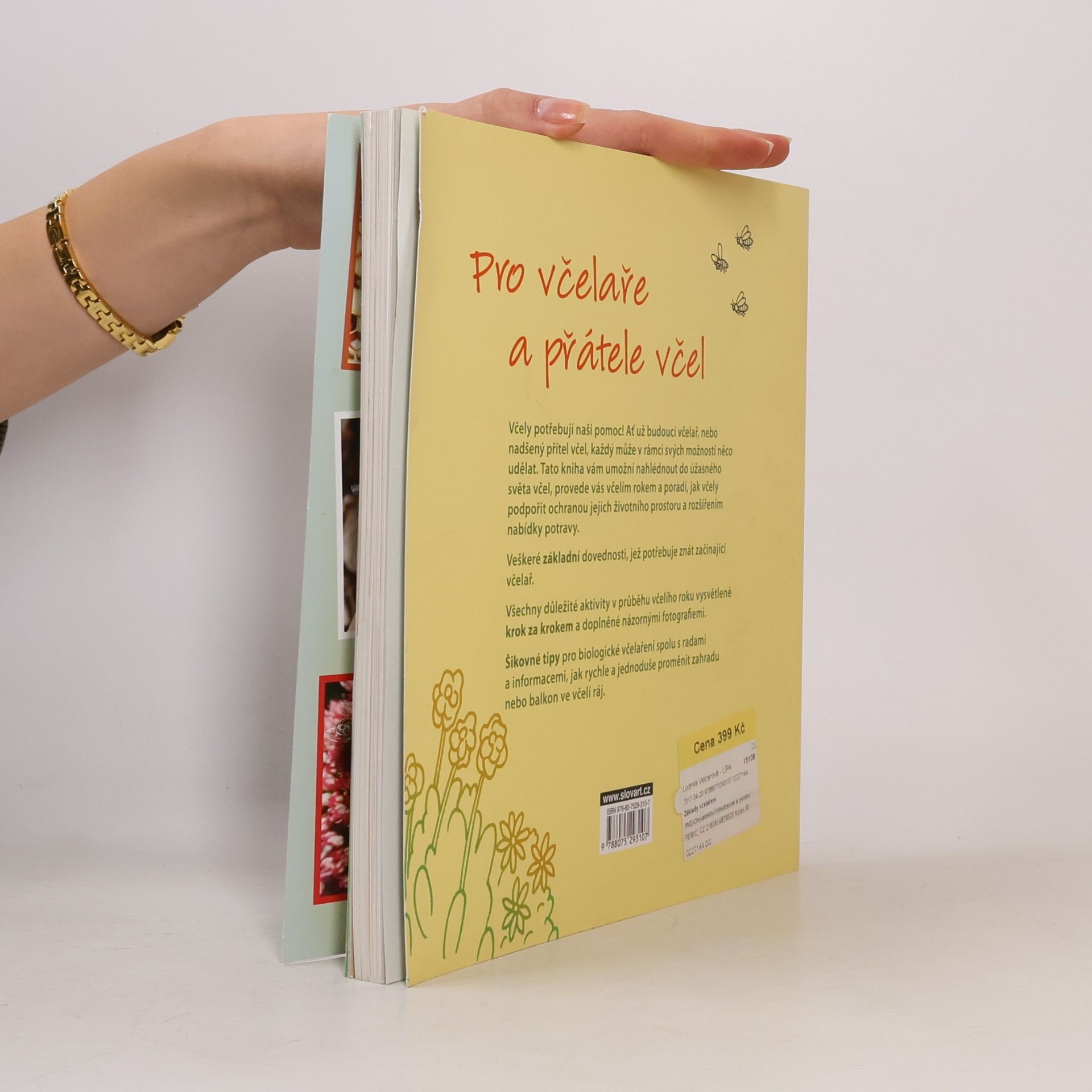 Sandra Bielmeier Základy včelaření - Vše, co musí zájemci o včelaření znát