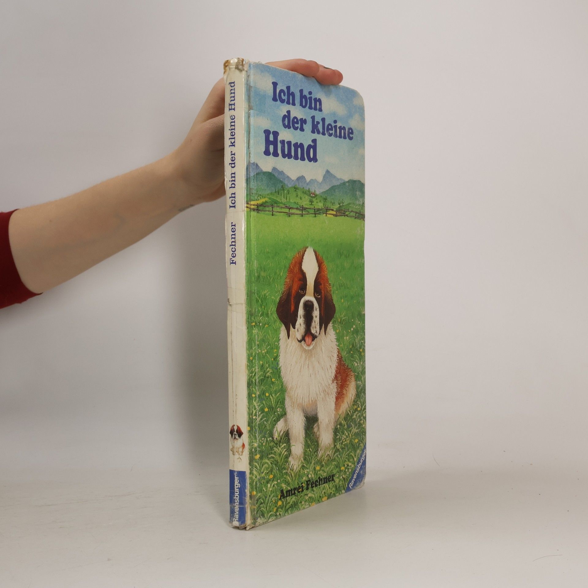 Amrei Fechner Ich bin der kleine Hund