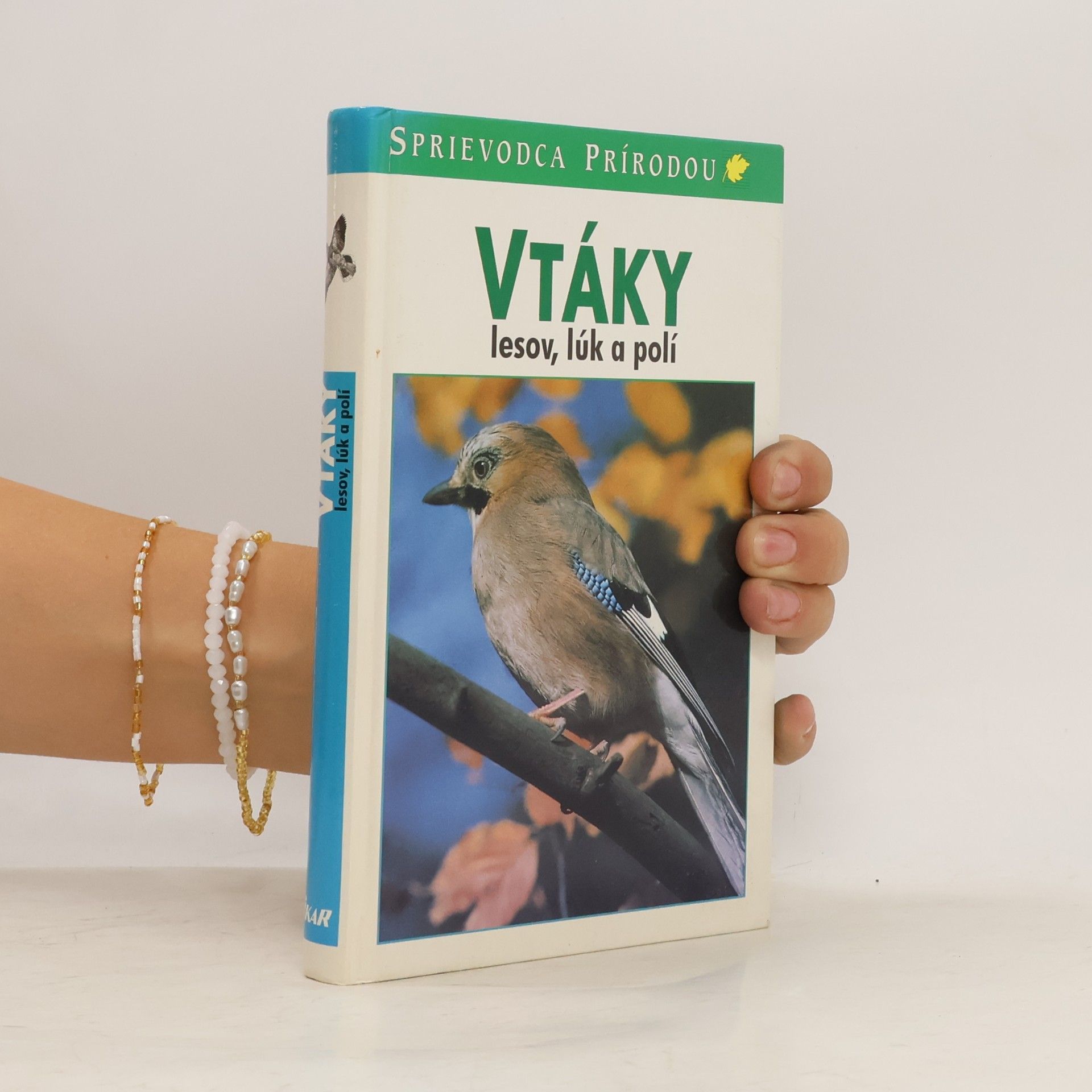 Frieder Sauer Vtáky lesov, lúk a polí